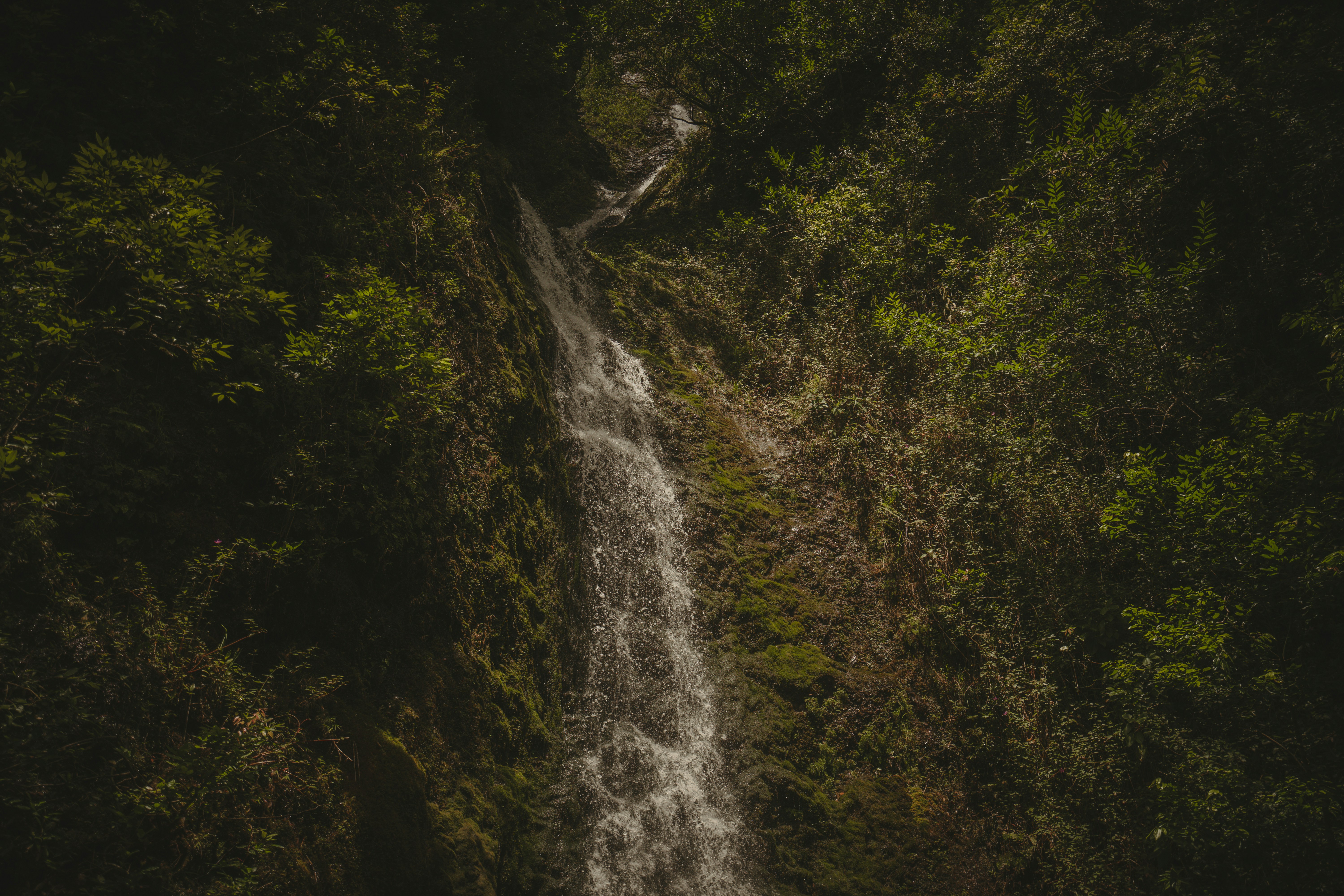 Photo by pics_by_harry