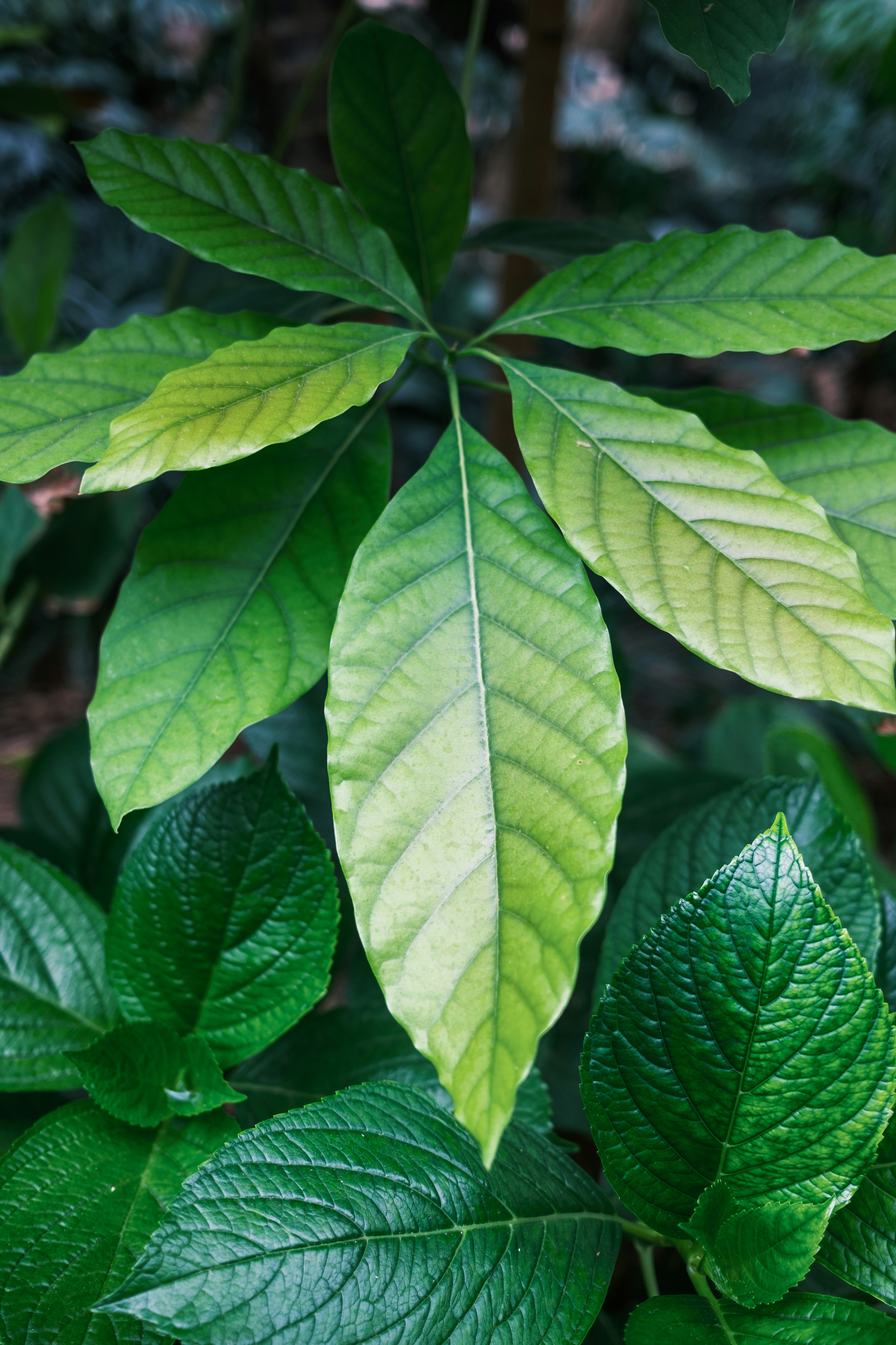 Photo by jose_maria_sava