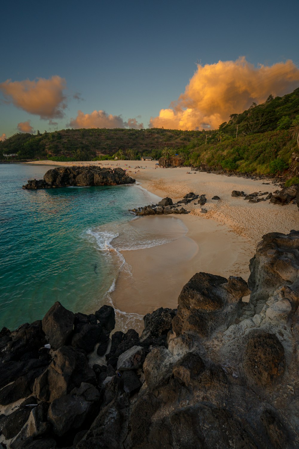 una spiaggia con rocce e alberi