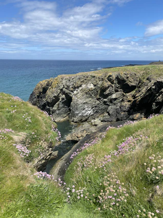 A scenic view of São Jorge island's lush green cliffs and blooming wildflowers under a bright sky.