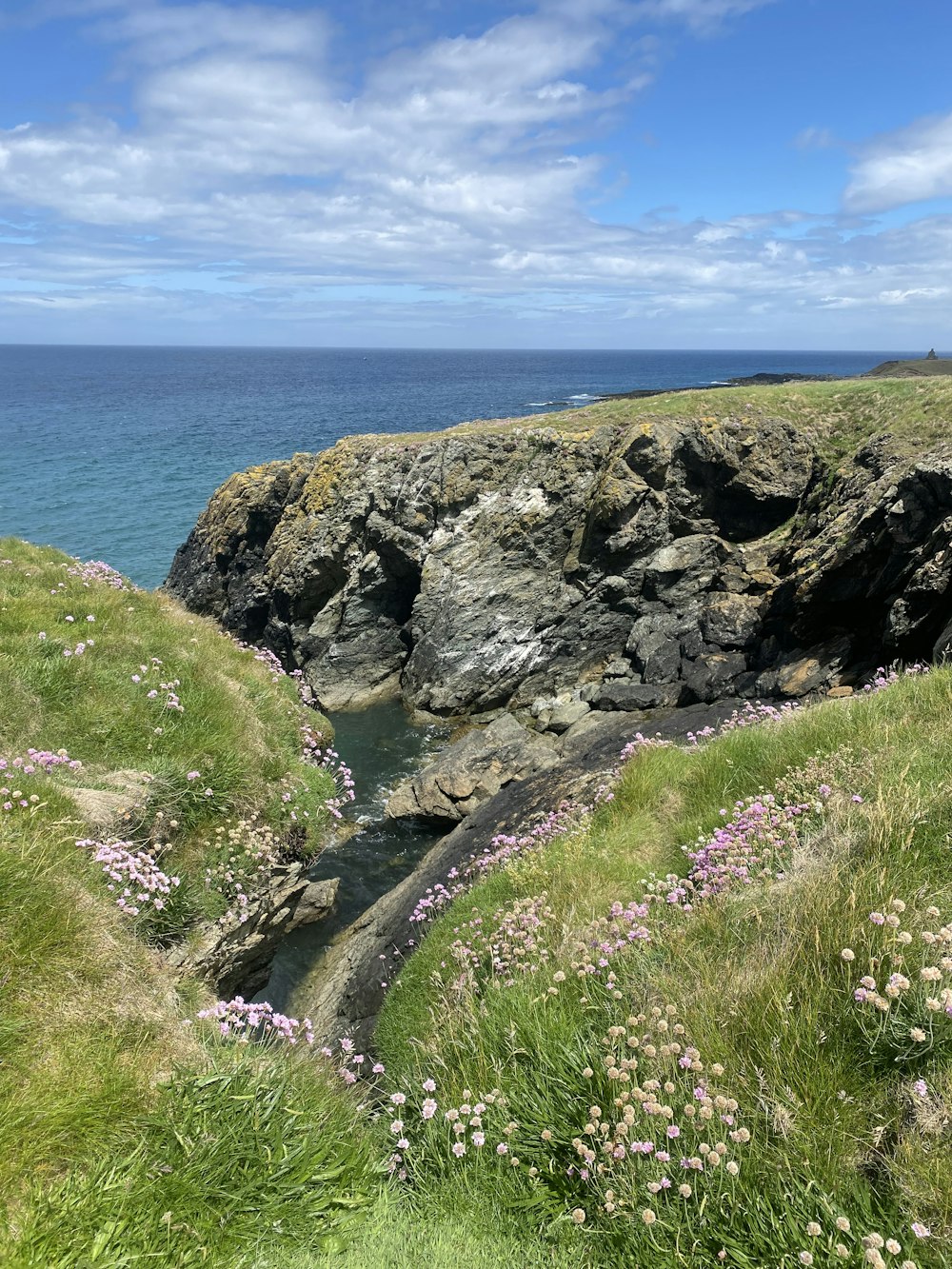 a rocky cliff with flowers and grass