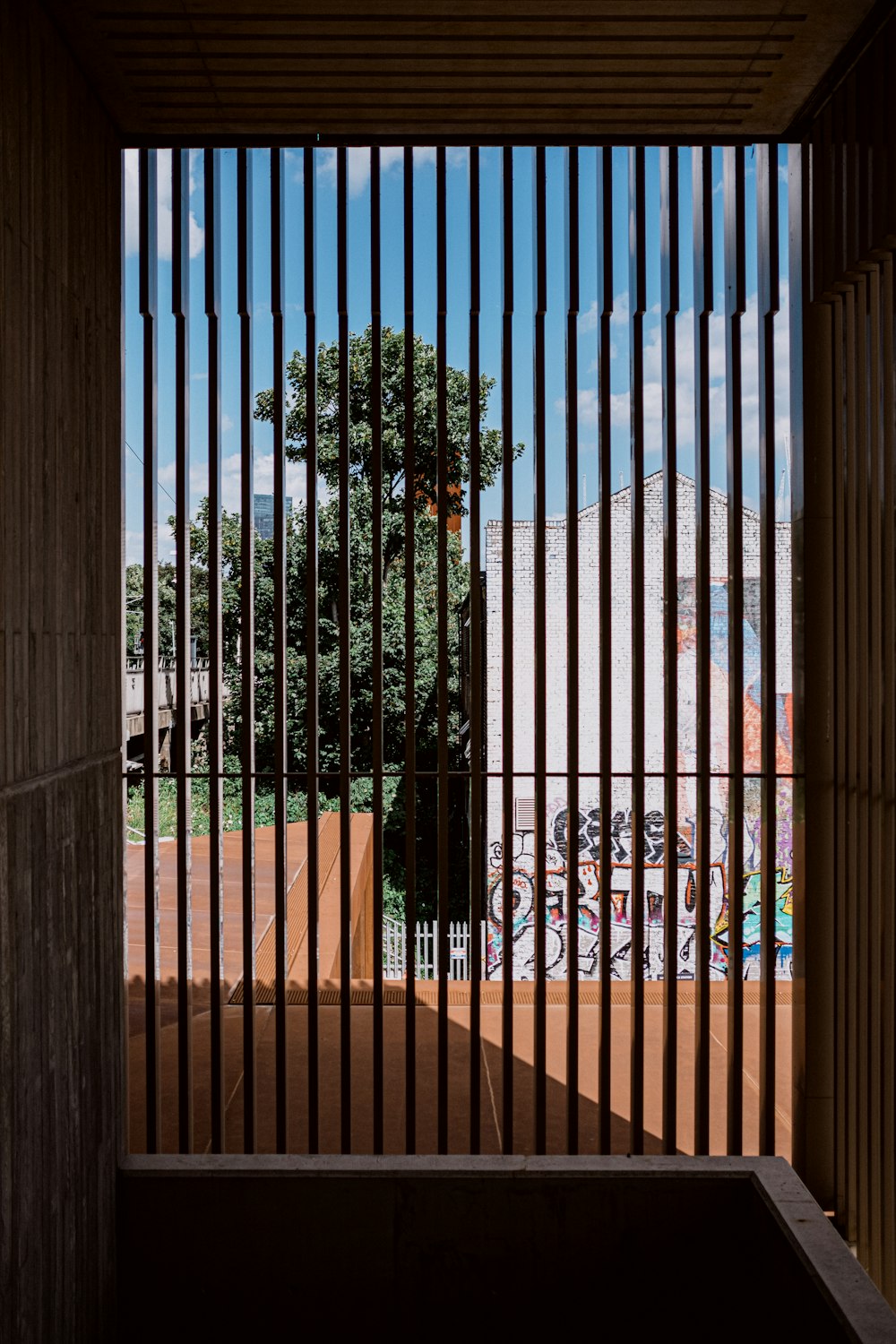 una ventana con un árbol afuera