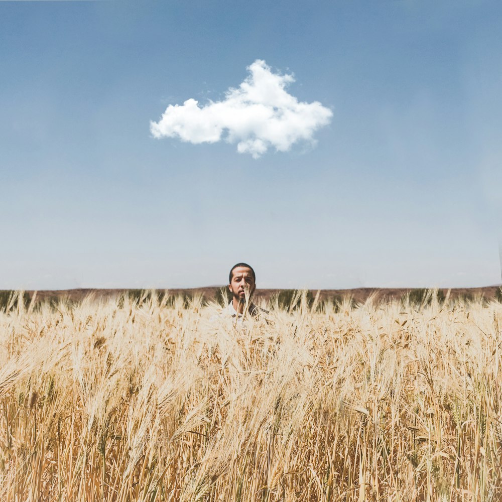 a man in a field of wheat