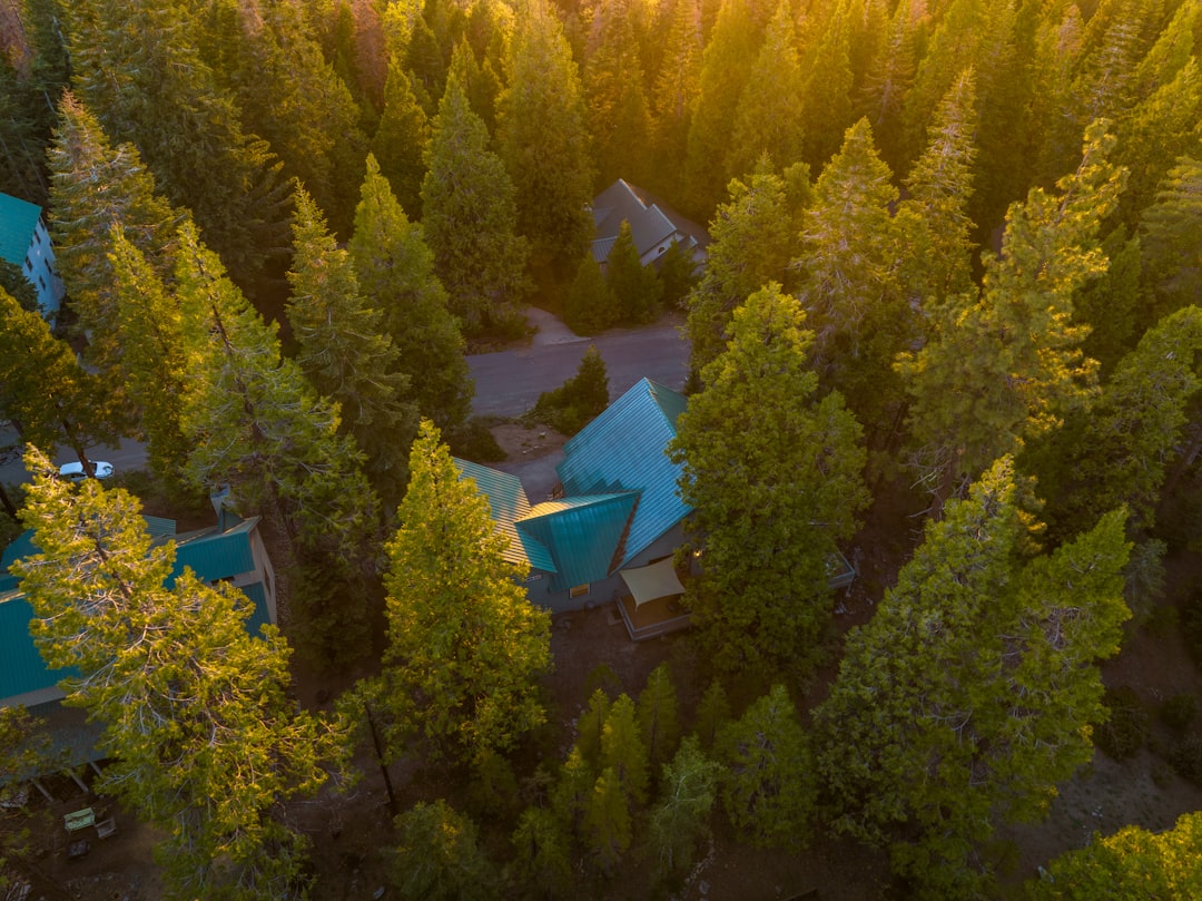 a house surrounded by trees,