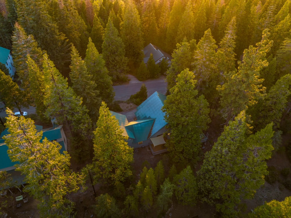 uma casa rodeada de árvores