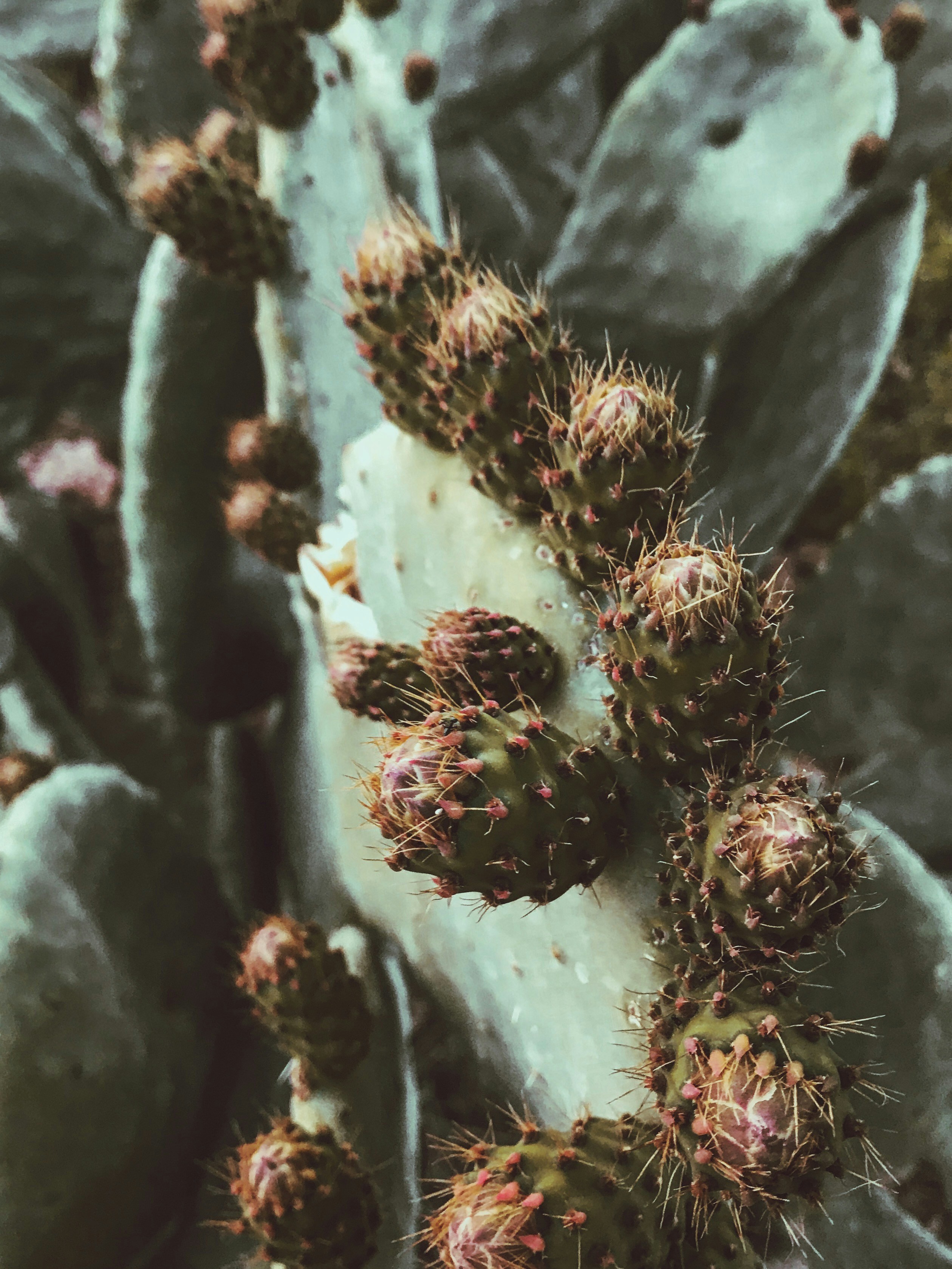 Photo by saadounique