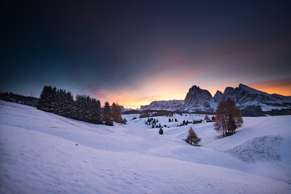 a snowy landscape with trees and mountains