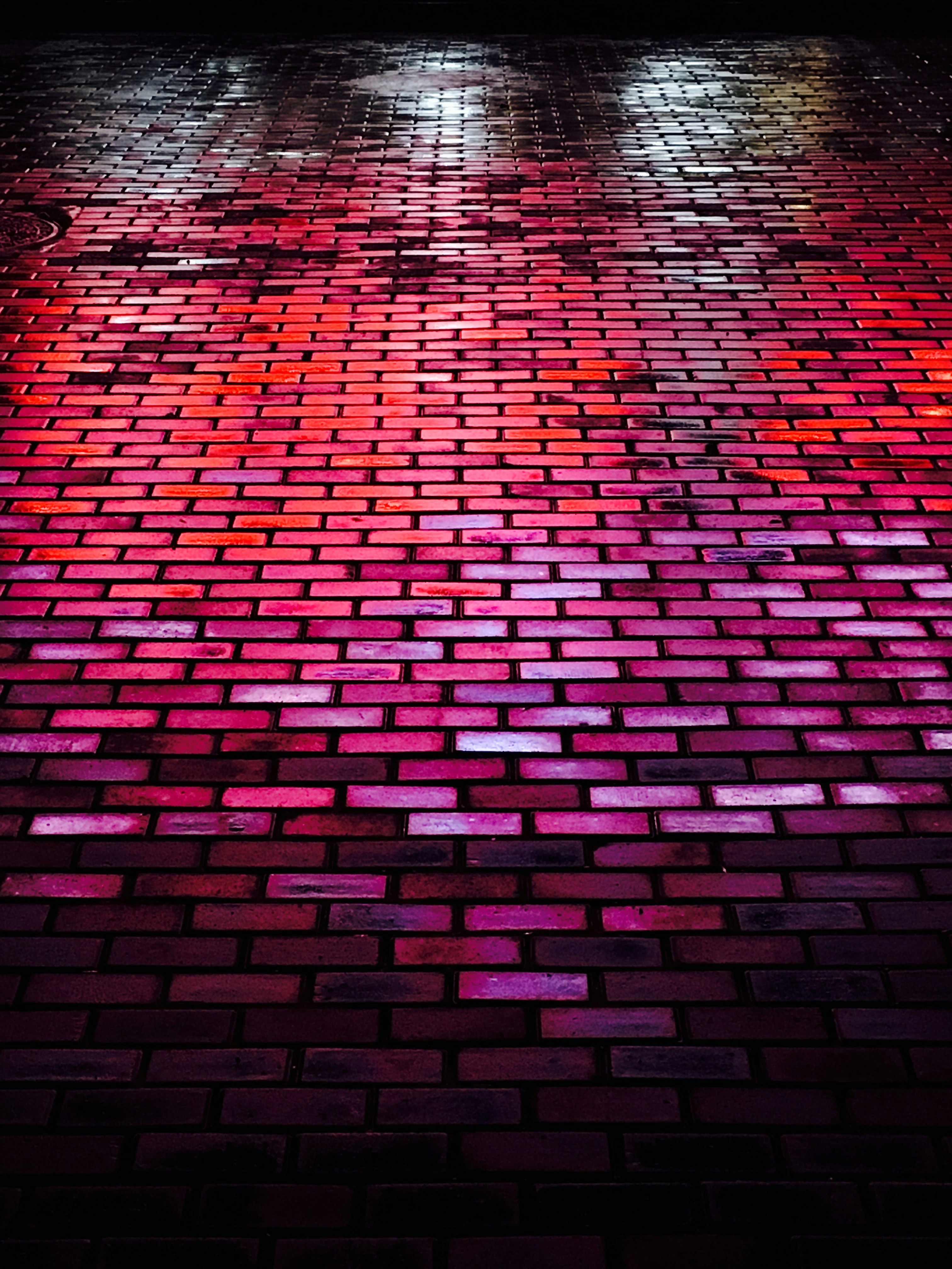 A brick walkway with a puddle photo – Free Xian Image on Unsplash