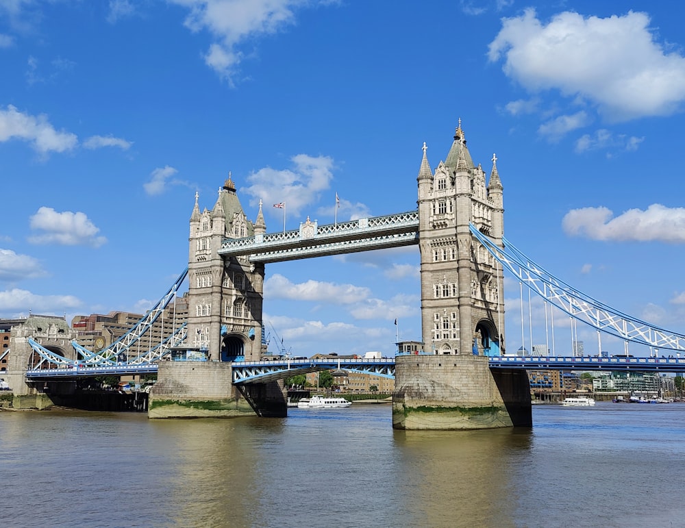 a bridge with towers and towers