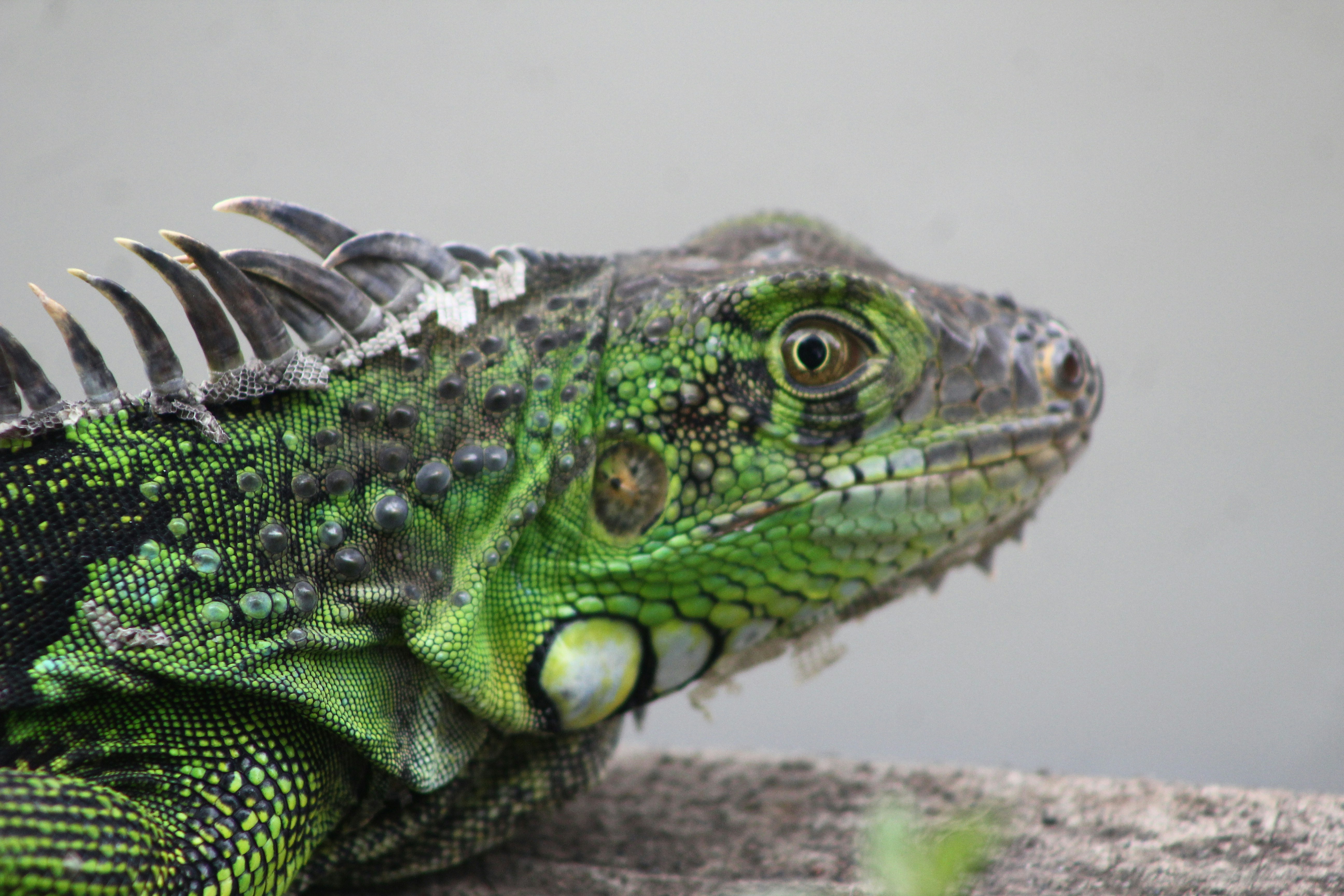 Photo by jedwardmarshall001