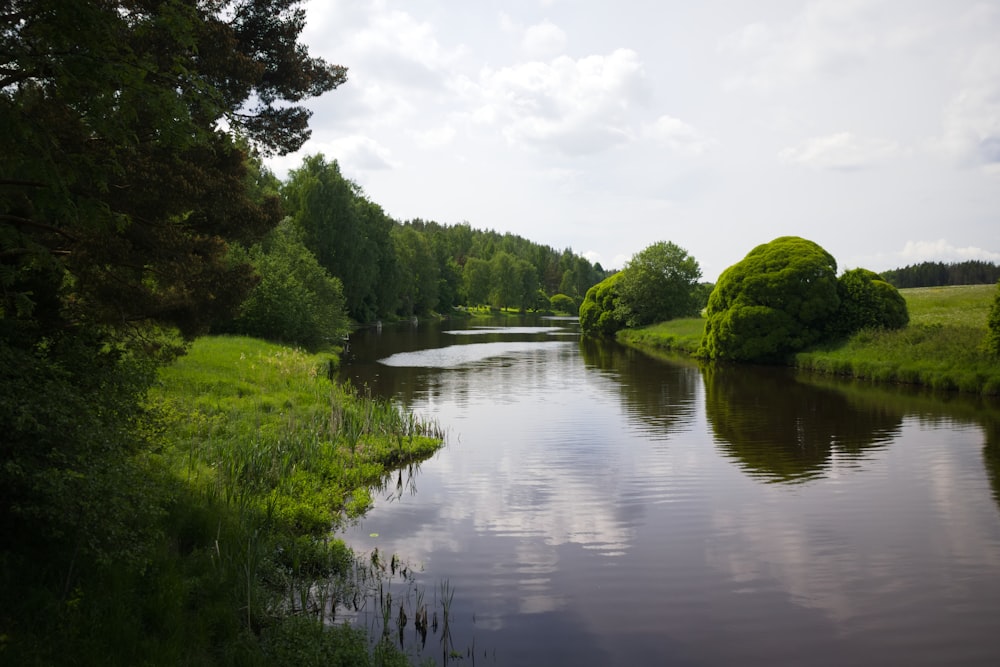 a river with trees on the side