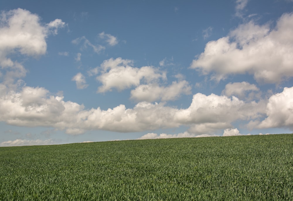 Un champ herbeux sous un ciel nuageux