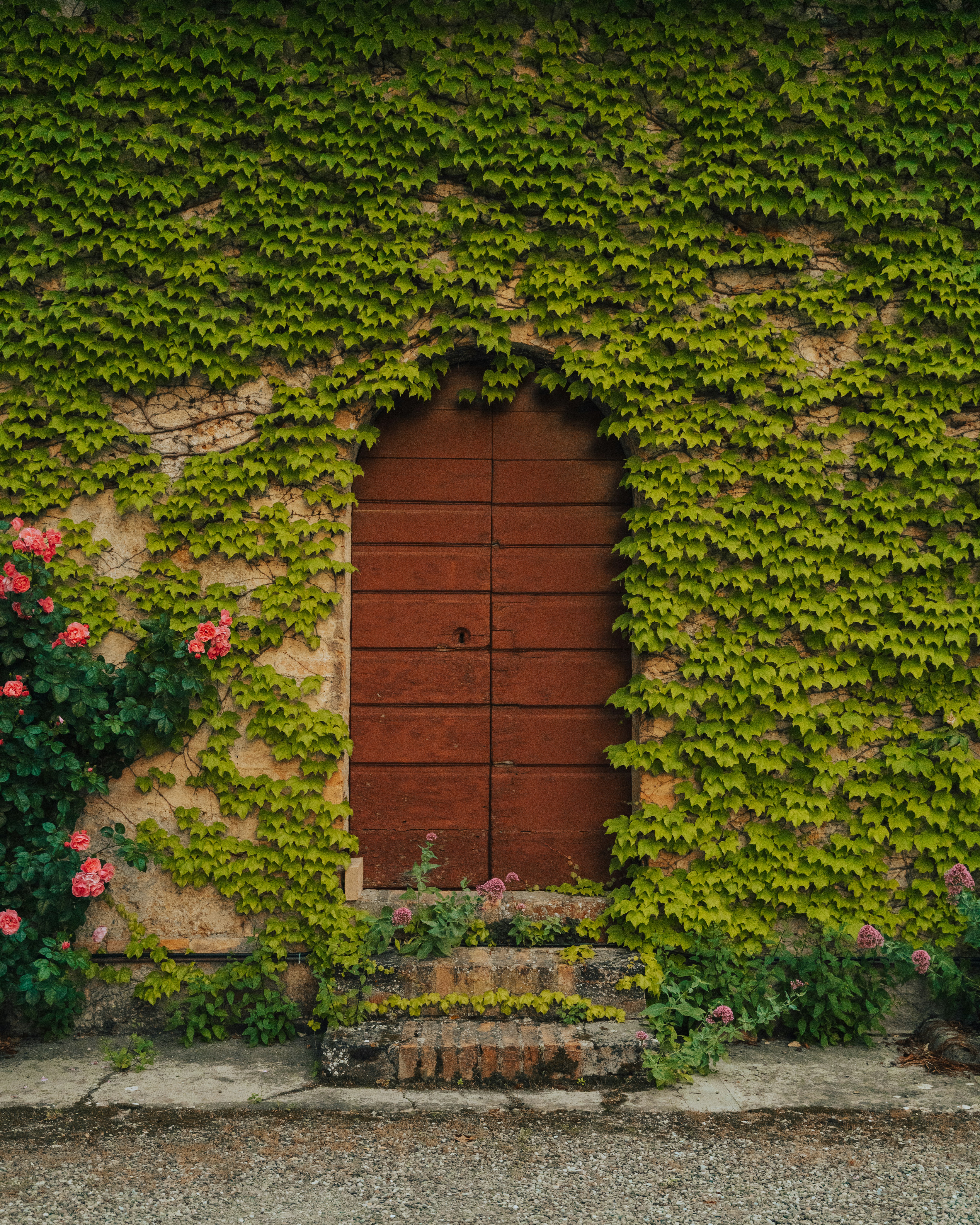 Photo by simonedaino95