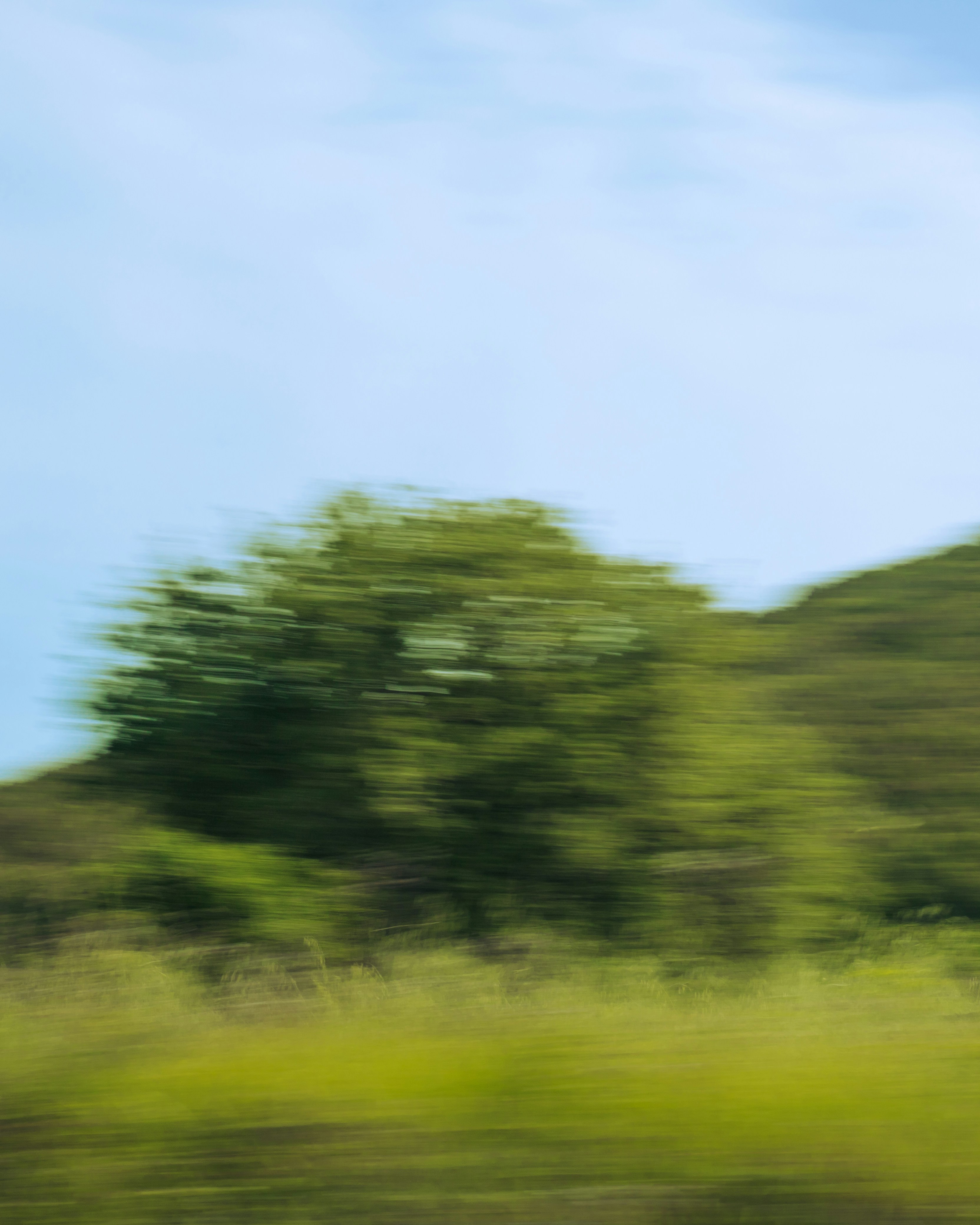 Photo by simonedaino95