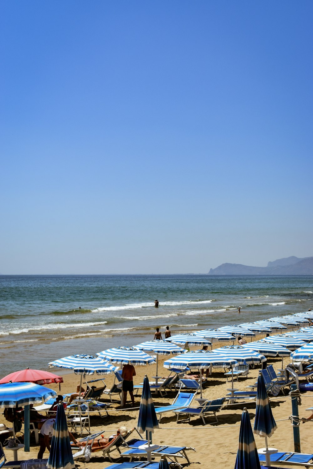 a beach with many umbrellas