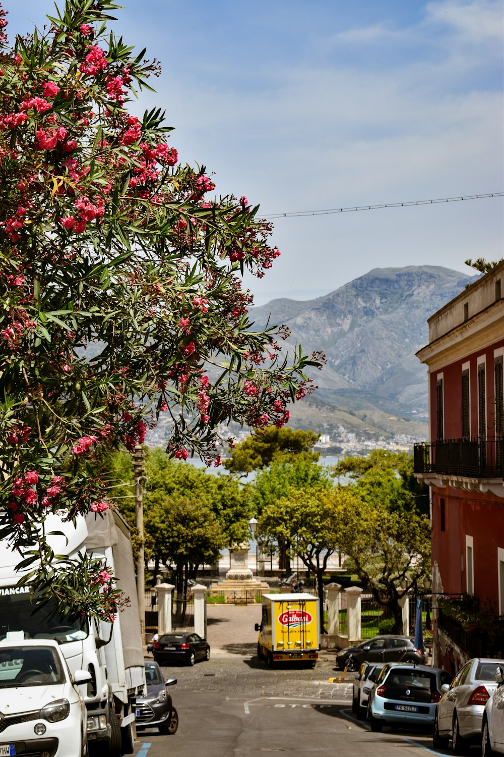 uma rua com carros e árvores