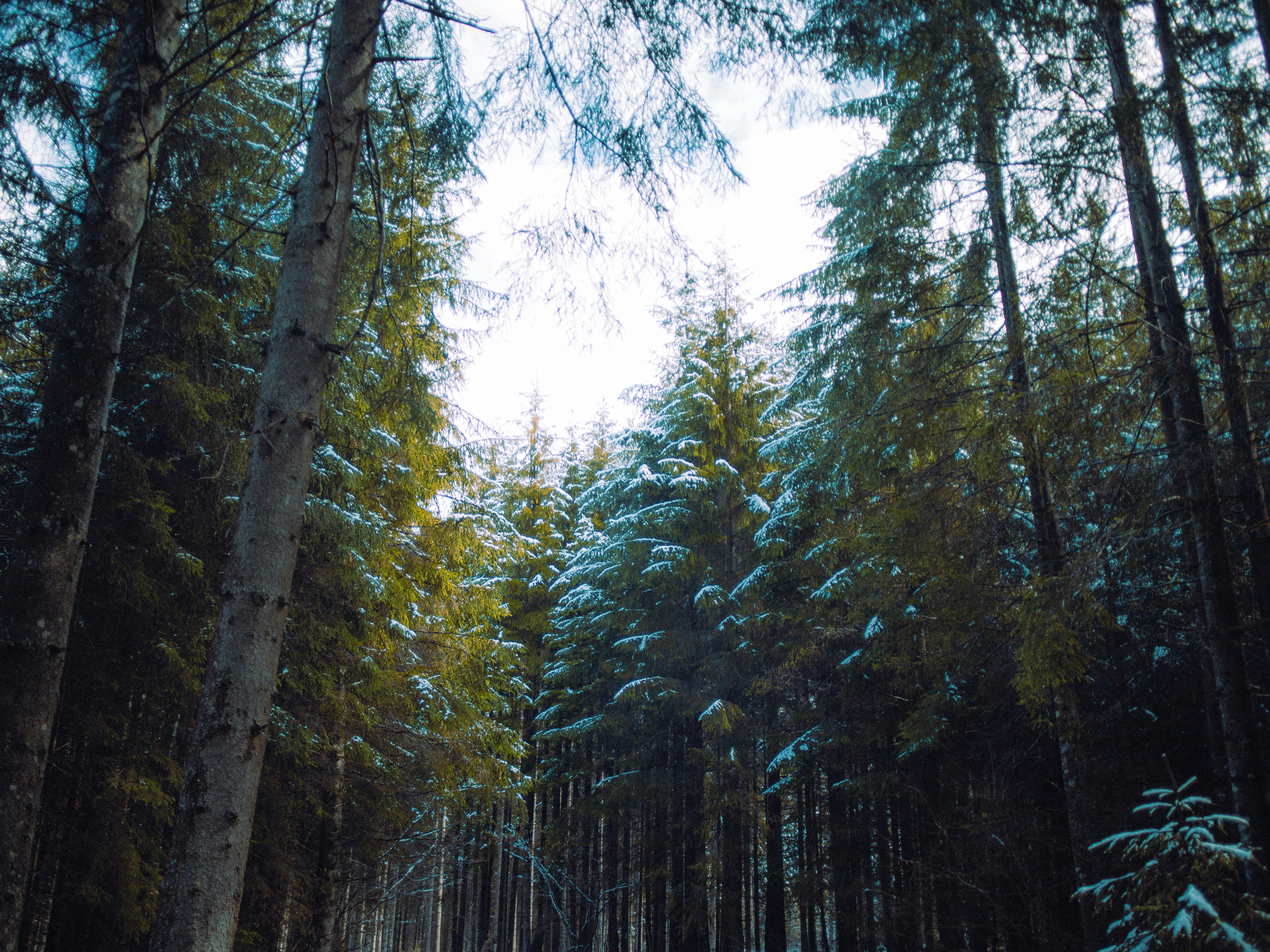 Photo by simonedaino95