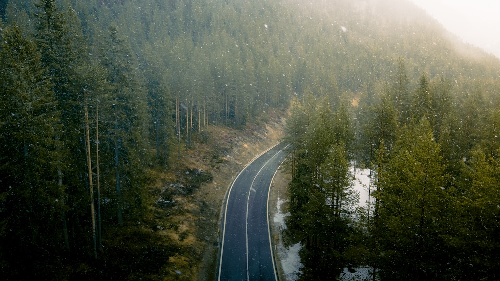 a train traveling down train tracks near a forest