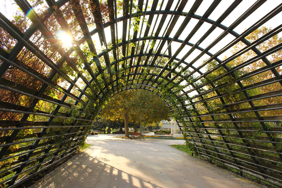 Large curved metal archway with black iron bars spans across an open park-like area