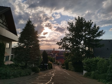 Sunset view over a peaceful residential street lined with trees and cozy homes.