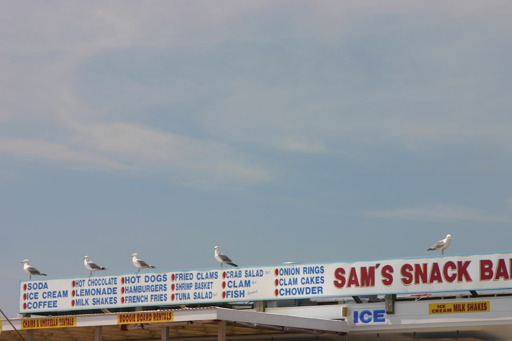 birds on a sign