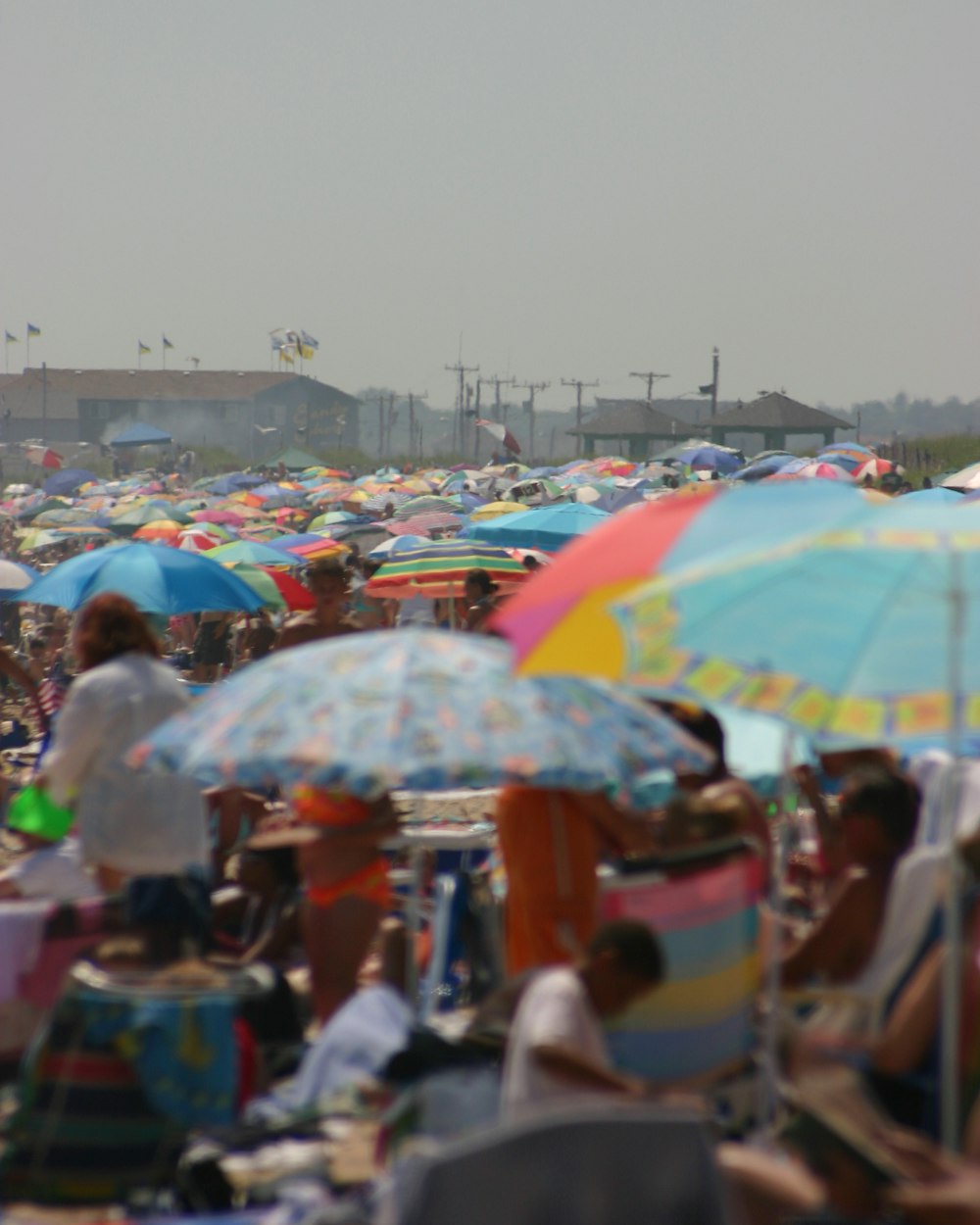people sitting under umbrellas
