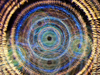 a close up of a fish