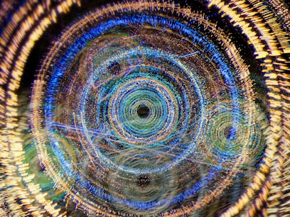 a close up of a fish