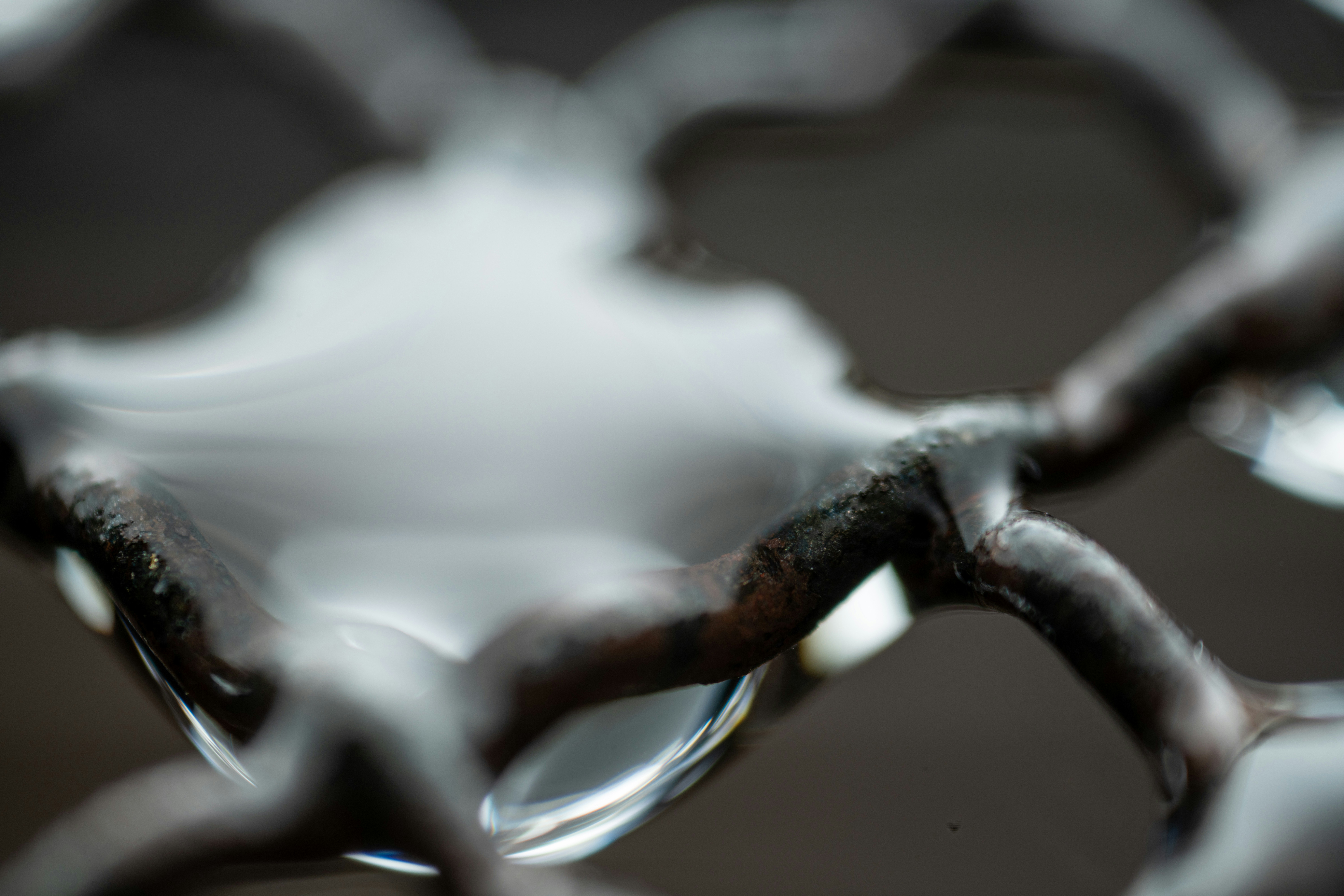 Photo by skylerewing