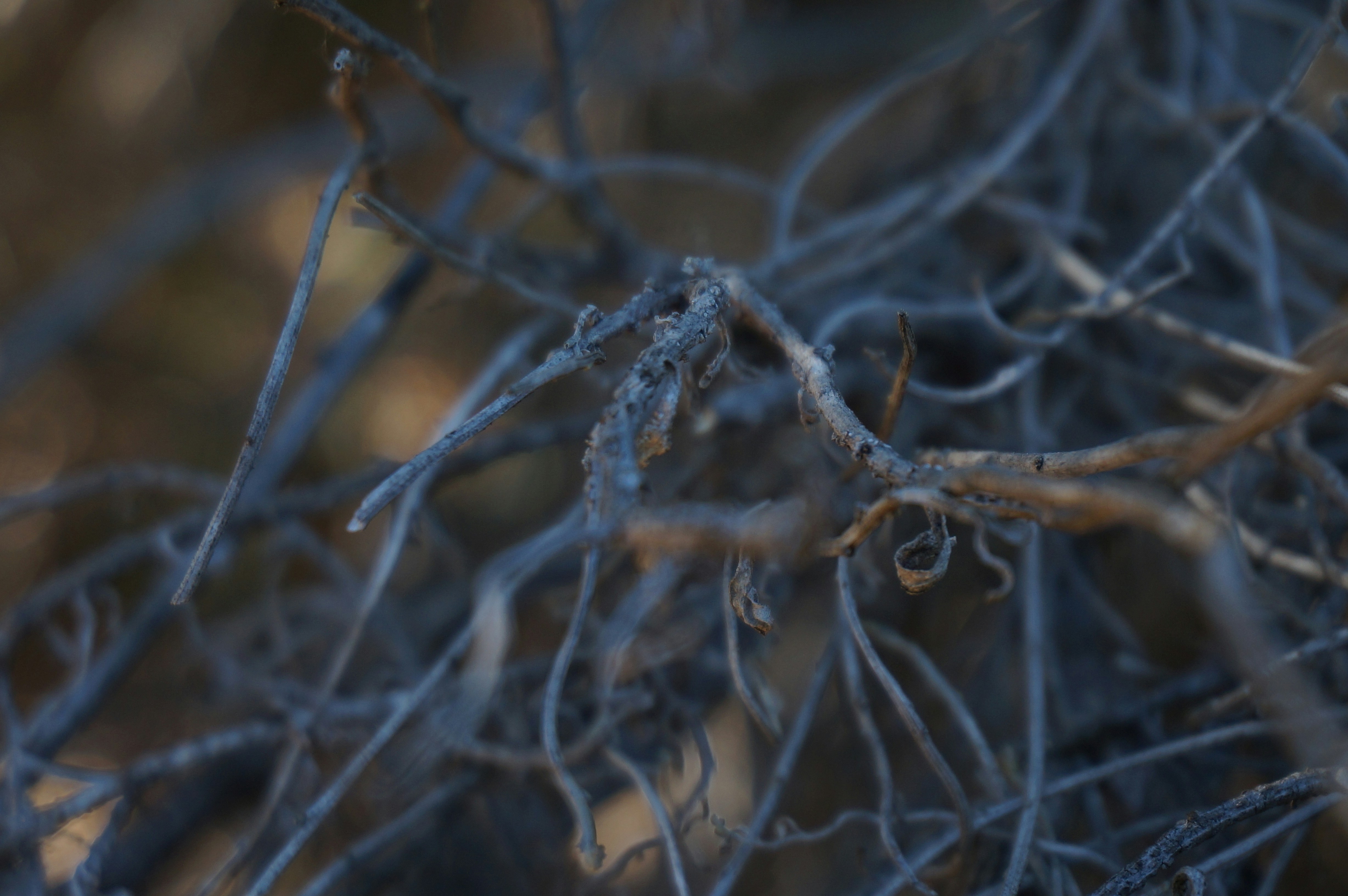 Photo by joshua_chehov