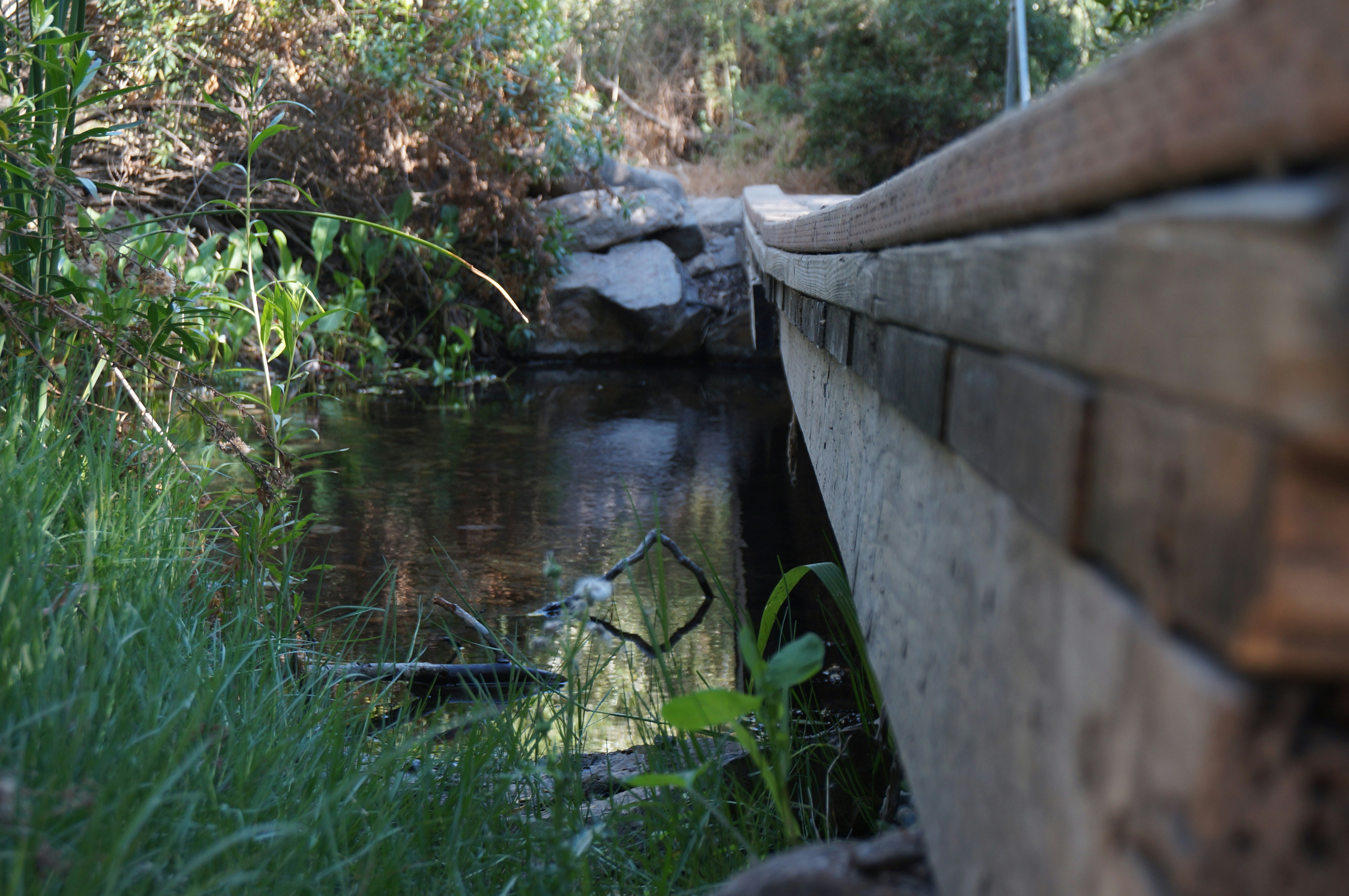 Photo by joshua_chehov