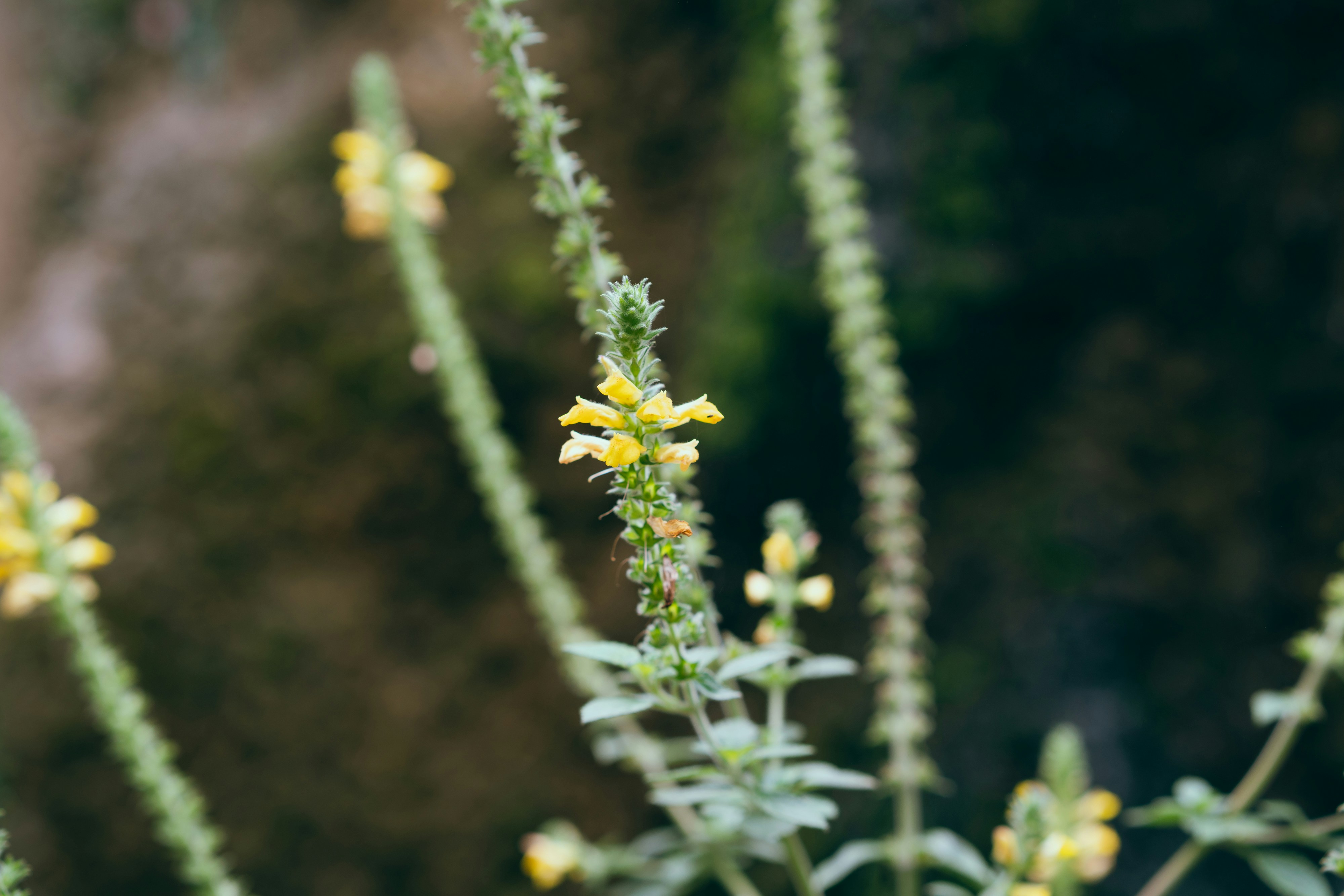 Photo by markuswinkler