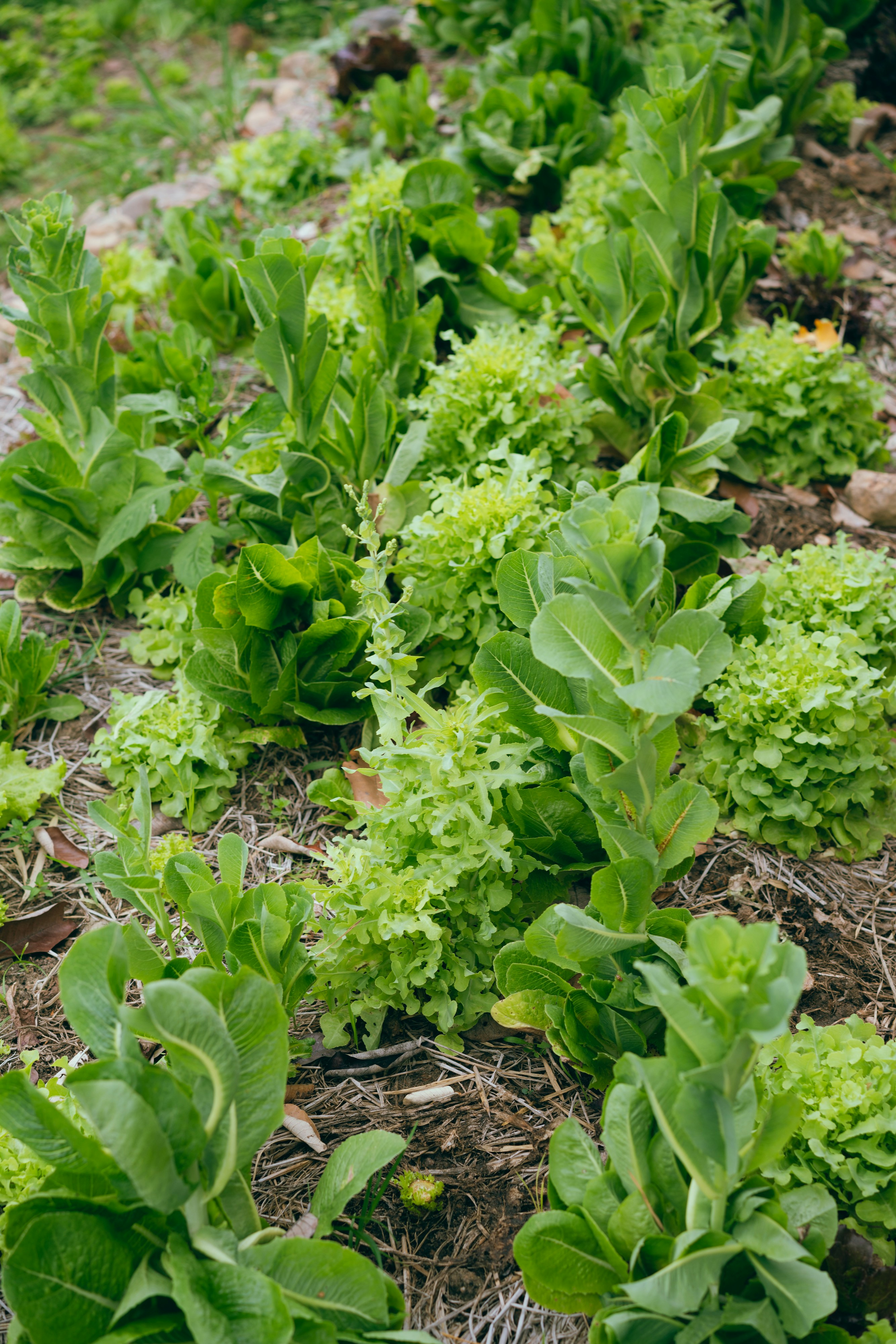 Photo by markuswinkler