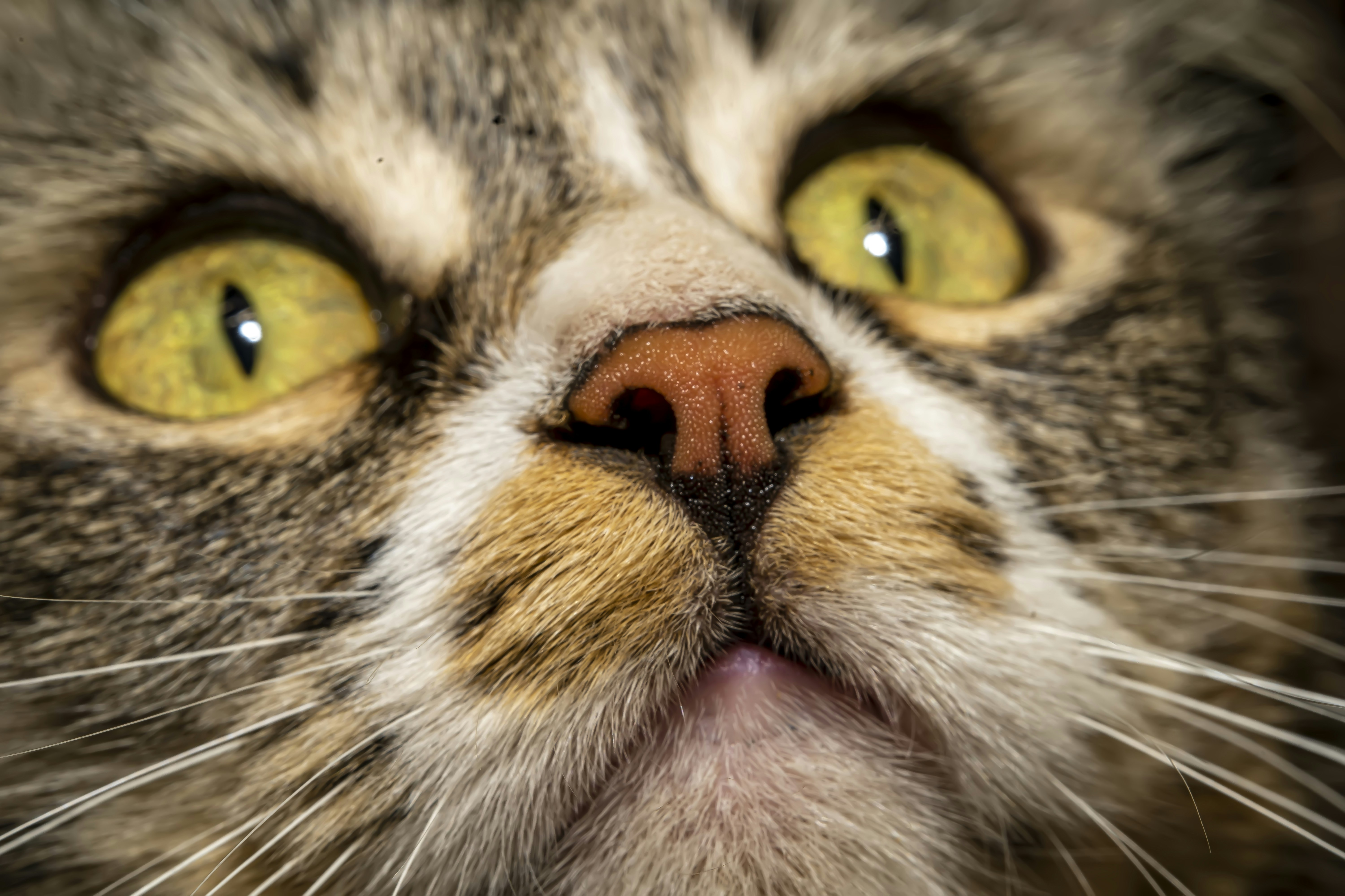 Photo by akbarnemati