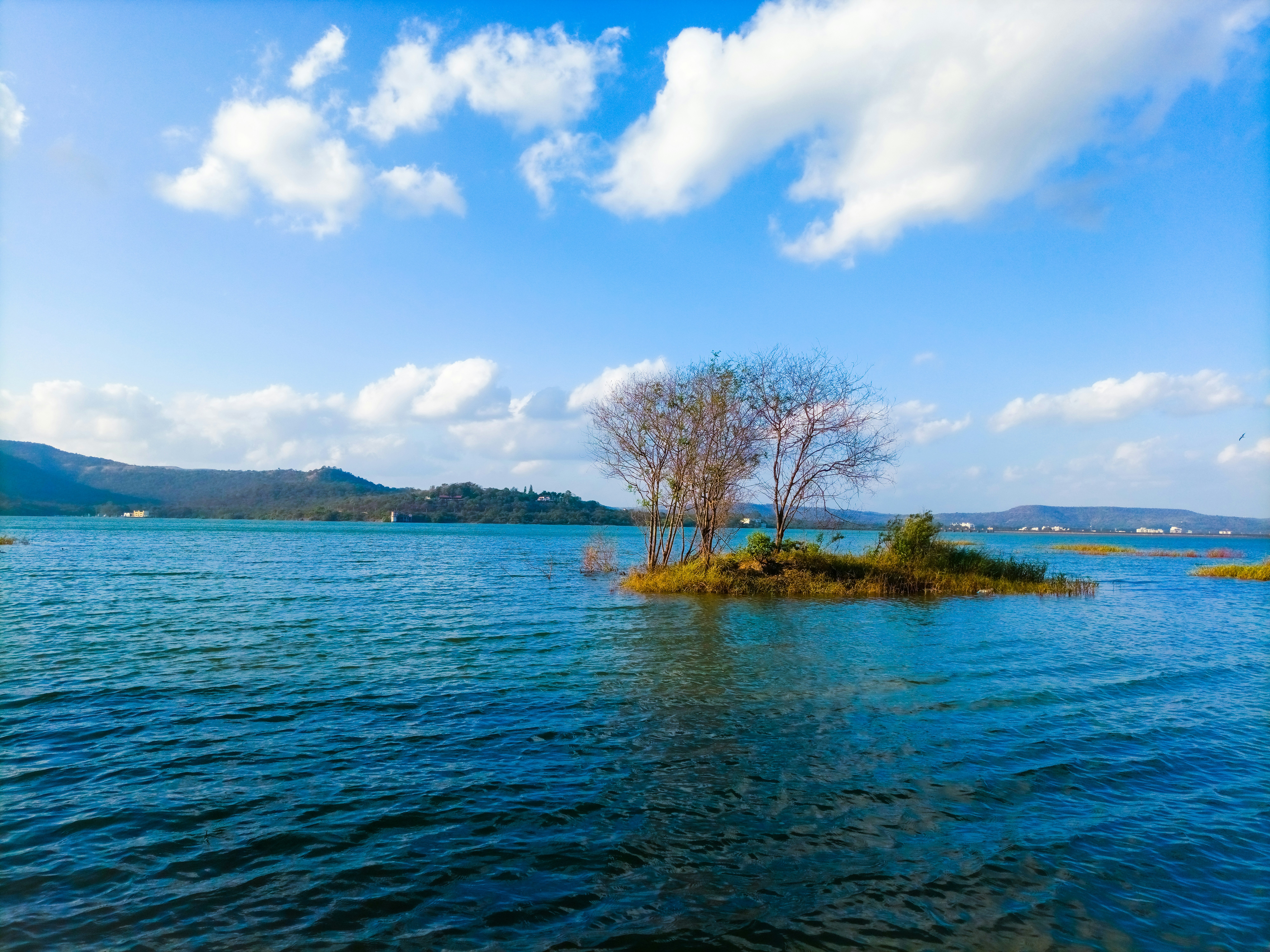 Photo by the_newnoob