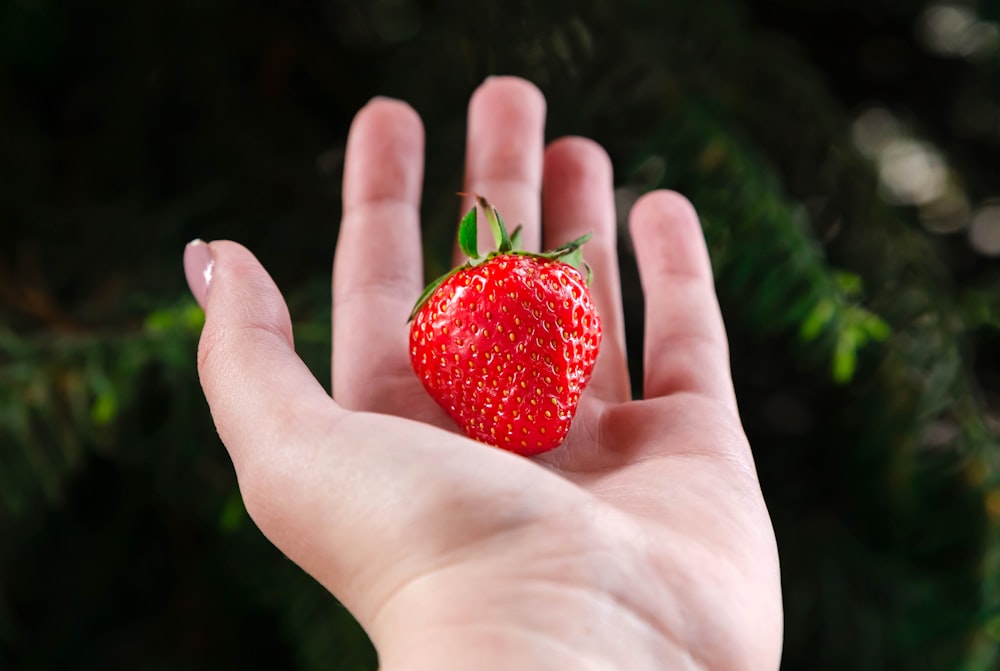 a hand holding a strawberry