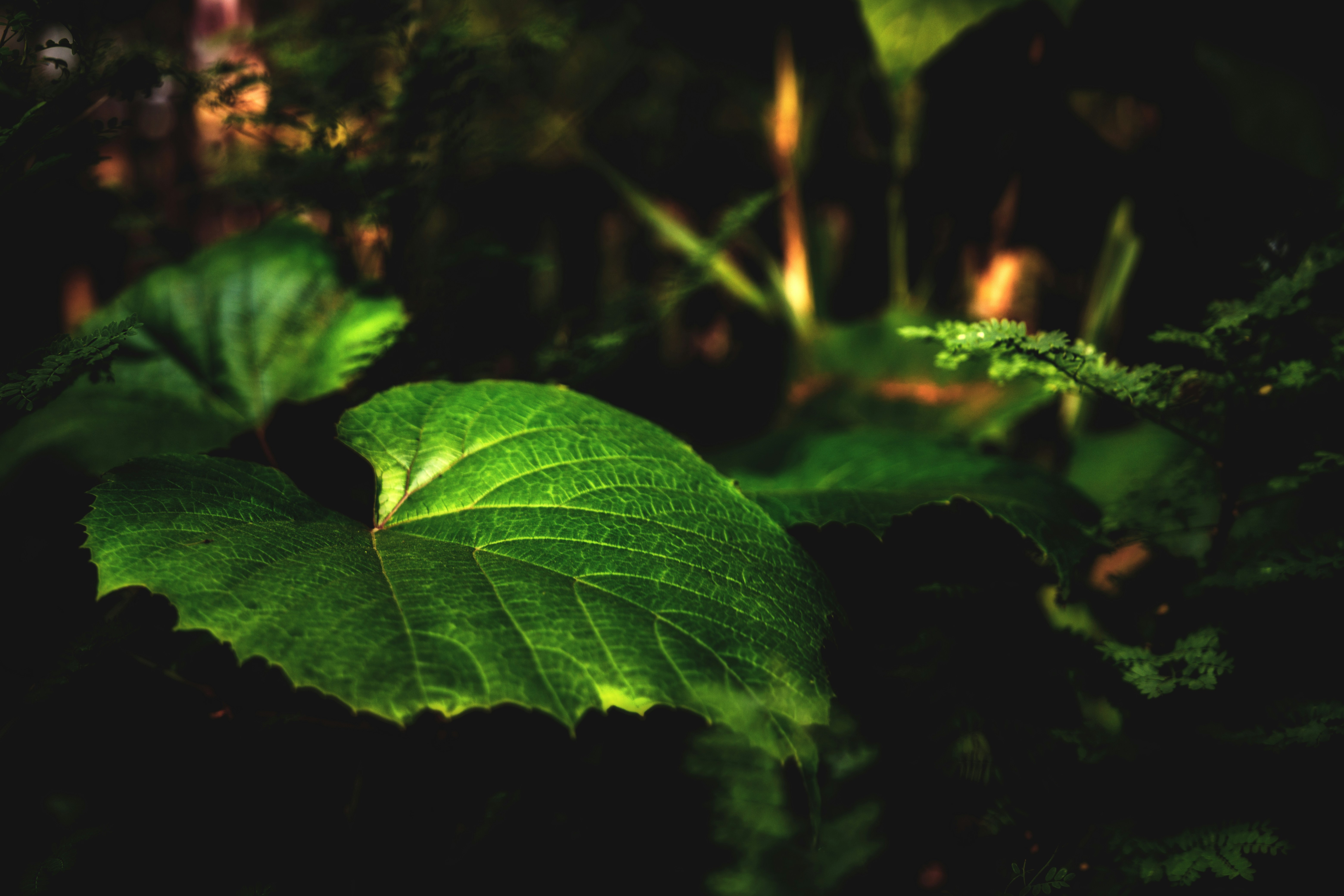 Photo by arizonanthony