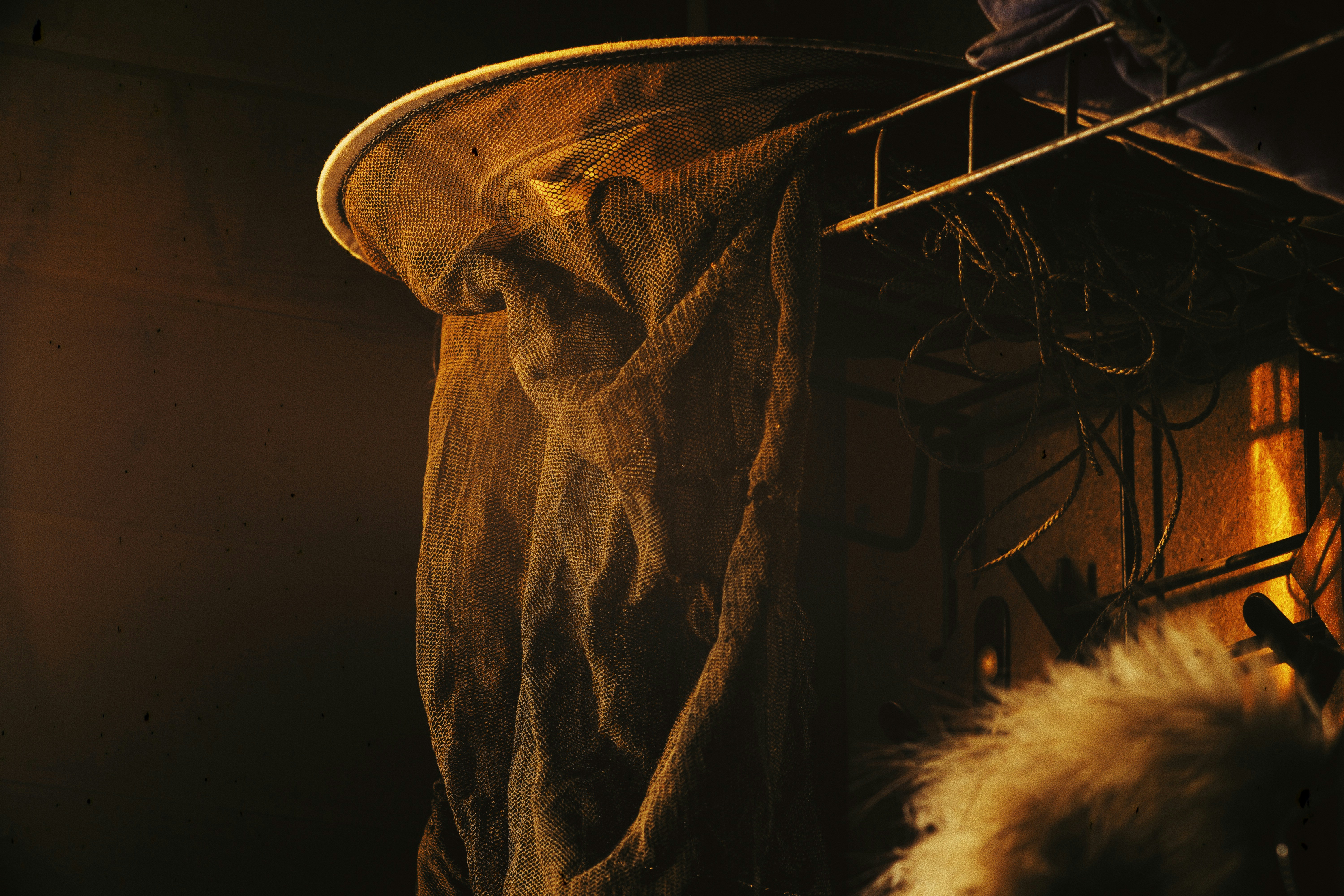 Photo by shklyaevmax