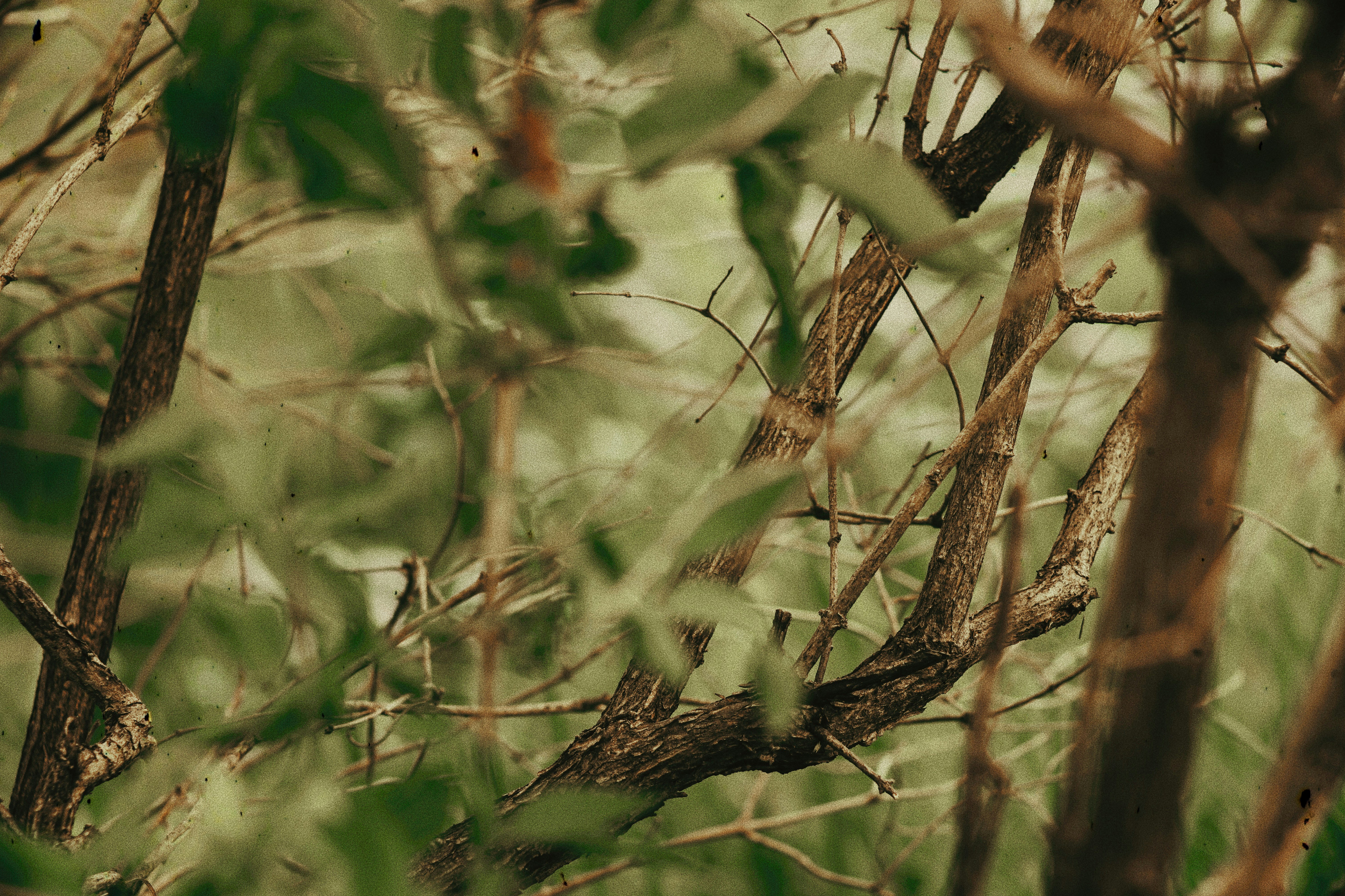 Photo by shklyaevmax