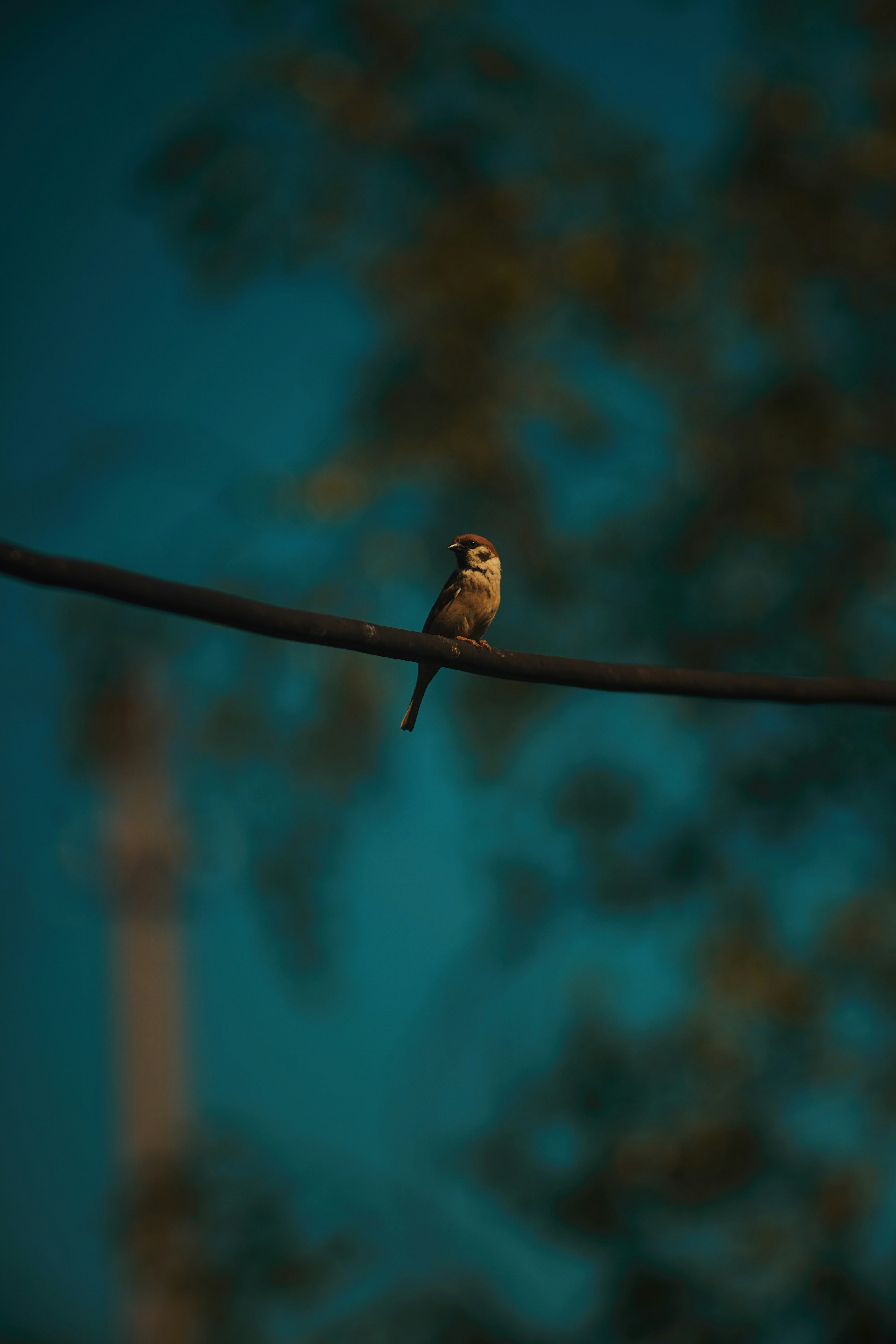 Photo by shklyaevmax