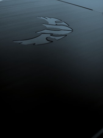 A sleek, dark metallic surface featuring an engraved logo of a stylized phoenix. The lighting is subdued, creating shadows and a moody ambiance.