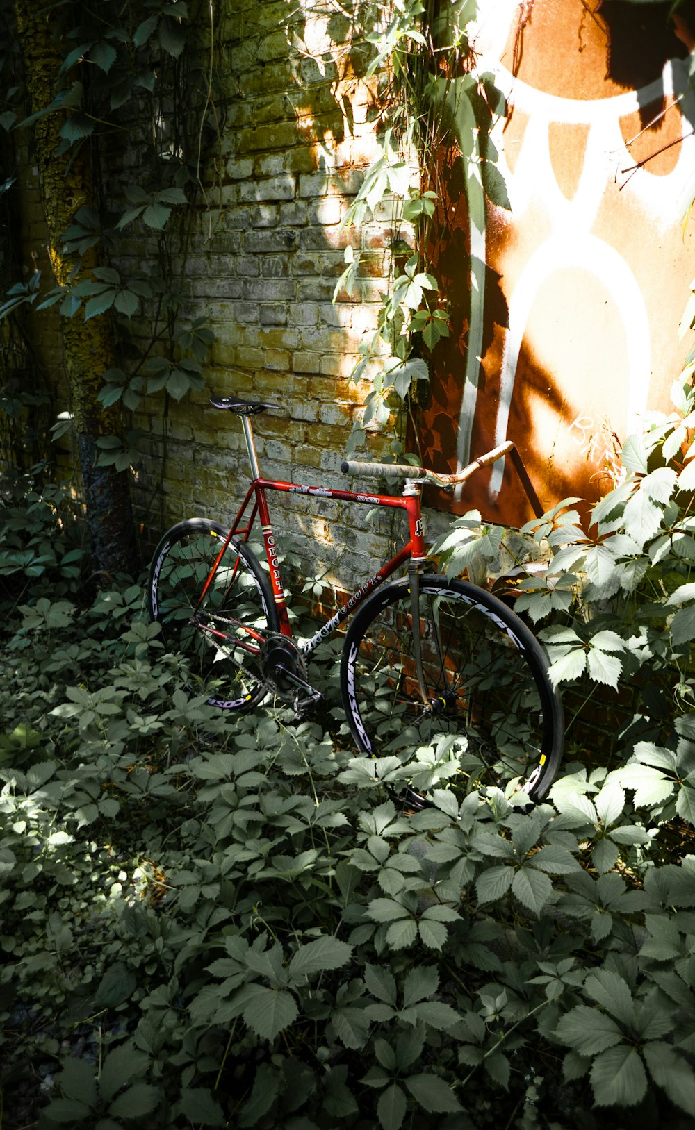 a bicycle parked in a garden