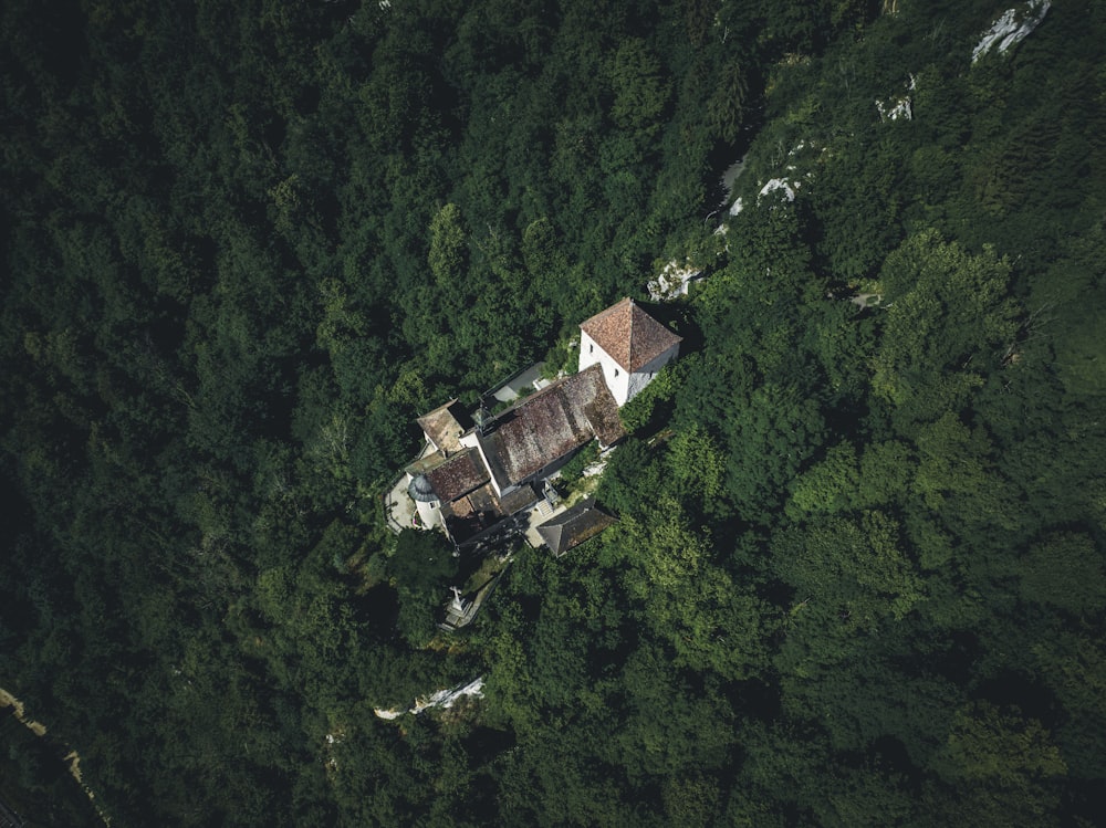 a house surrounded by trees