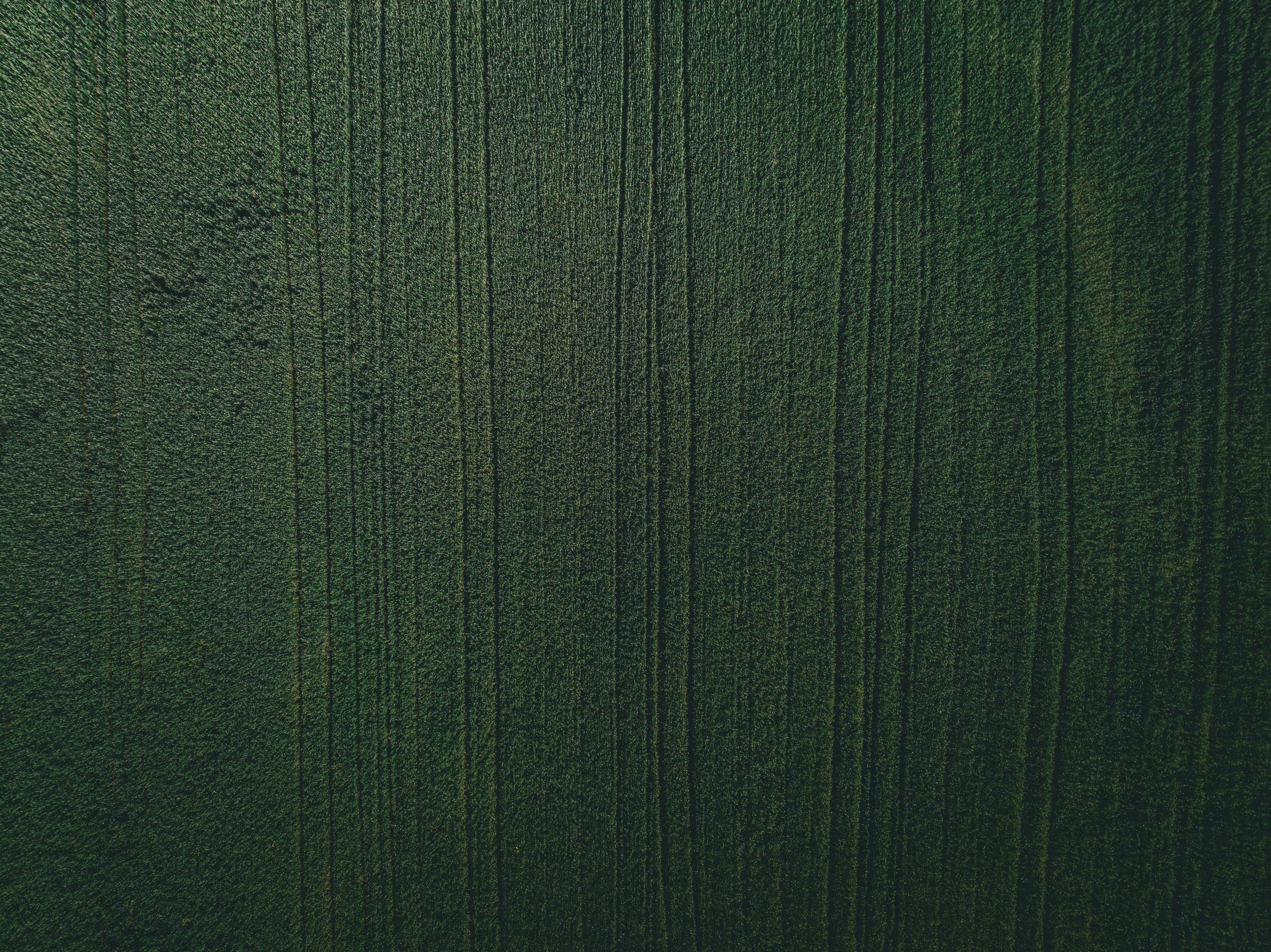 Les erreurs courantes concernant