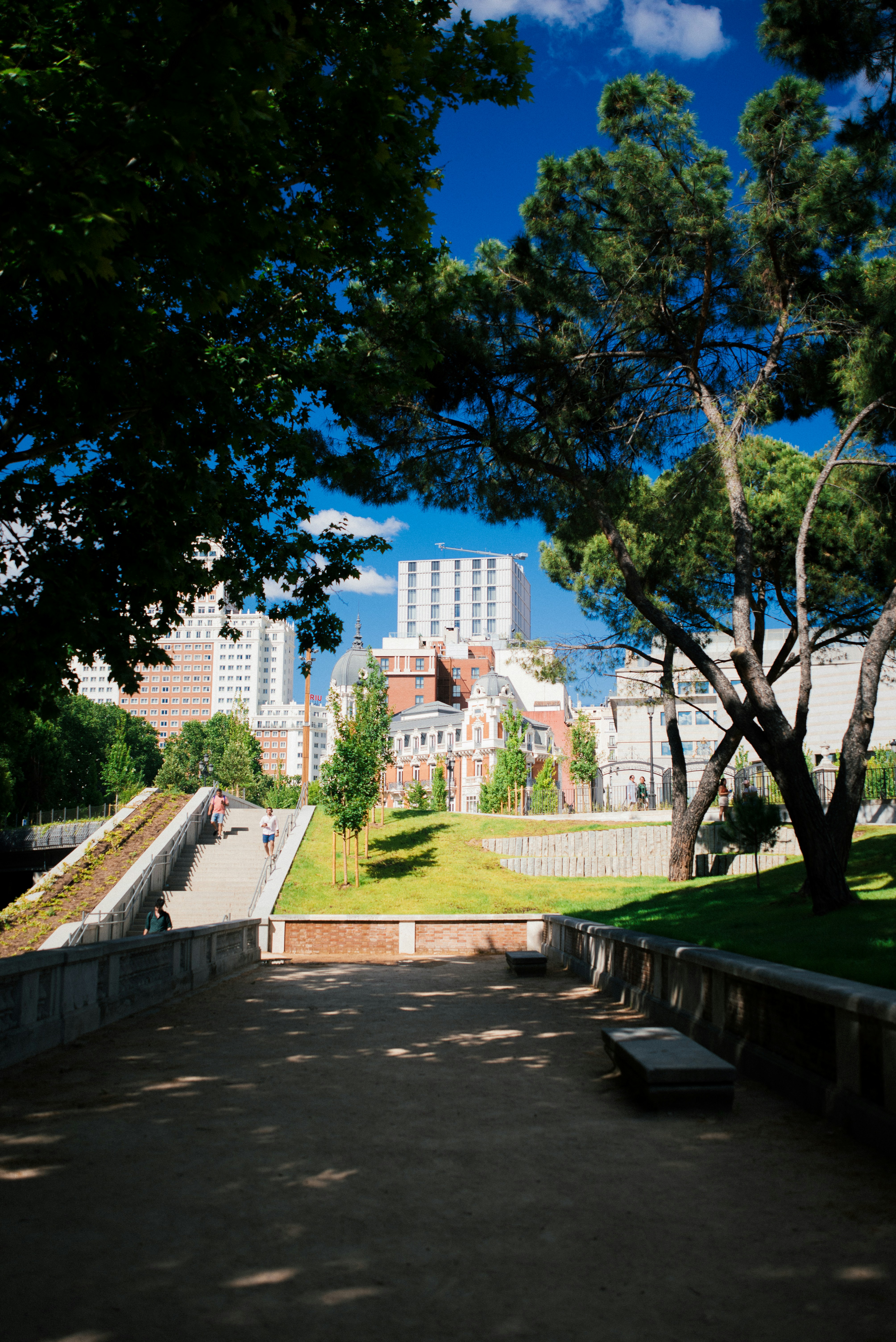 Ein Park mit Bäumen und Gebäuden im Hintergrund