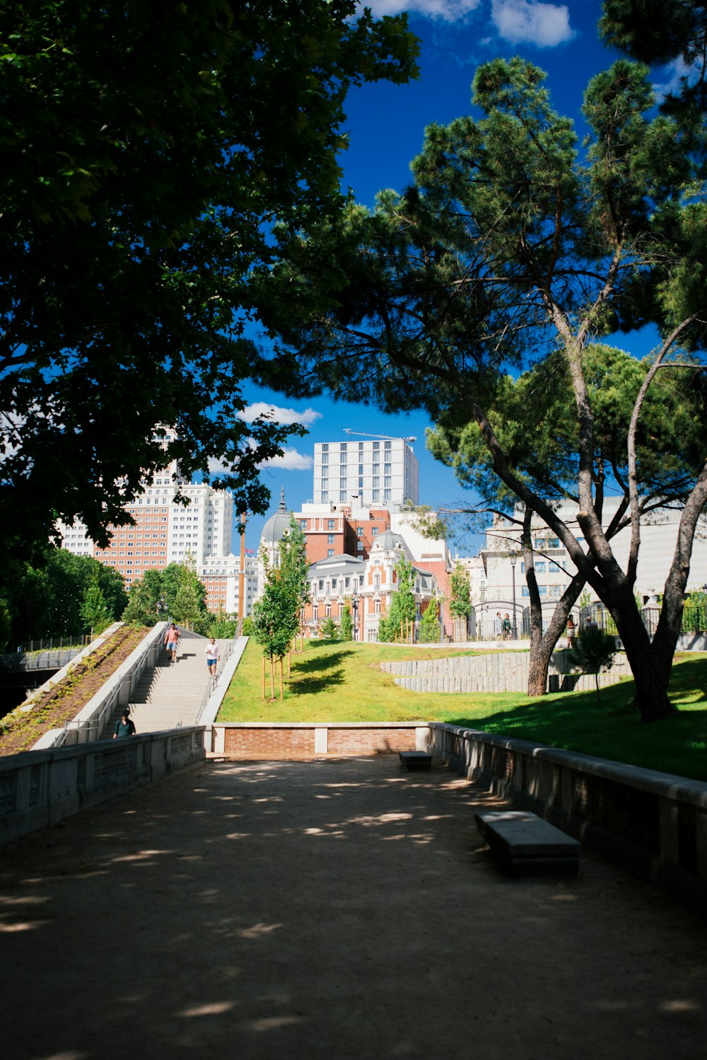 a park with trees and buildings in the background