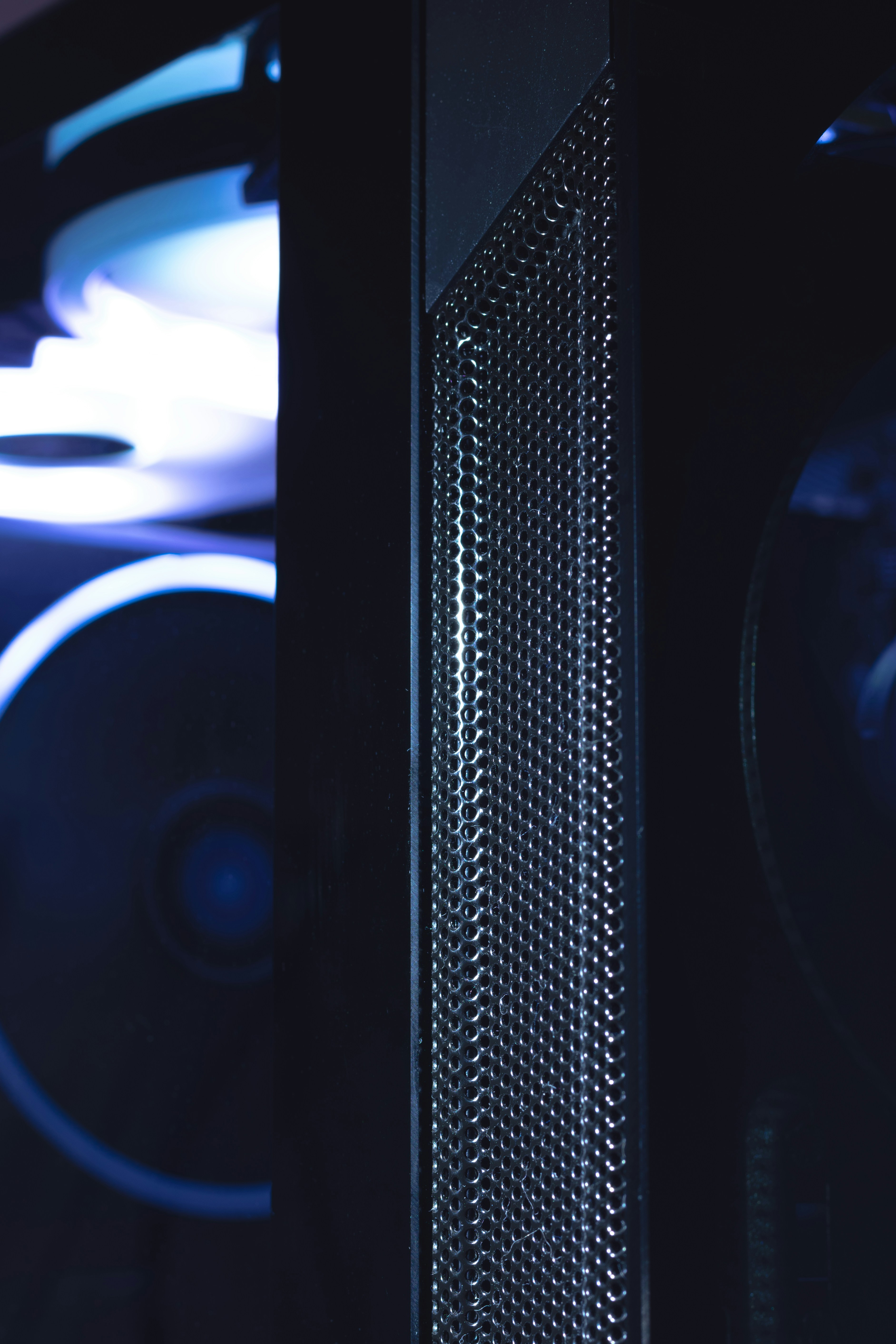 Photo by therealslkhv