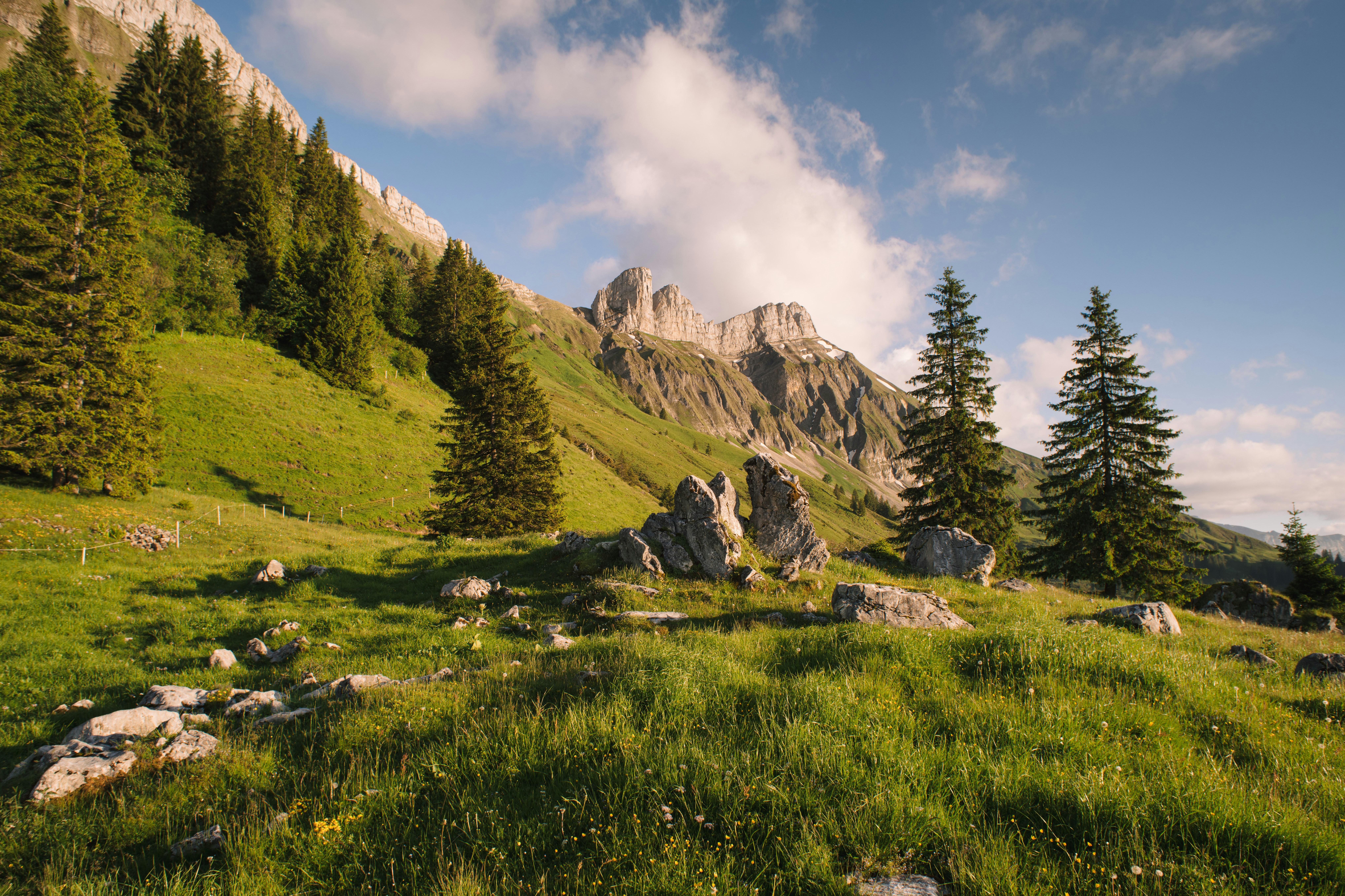 Photo by fabianbetto