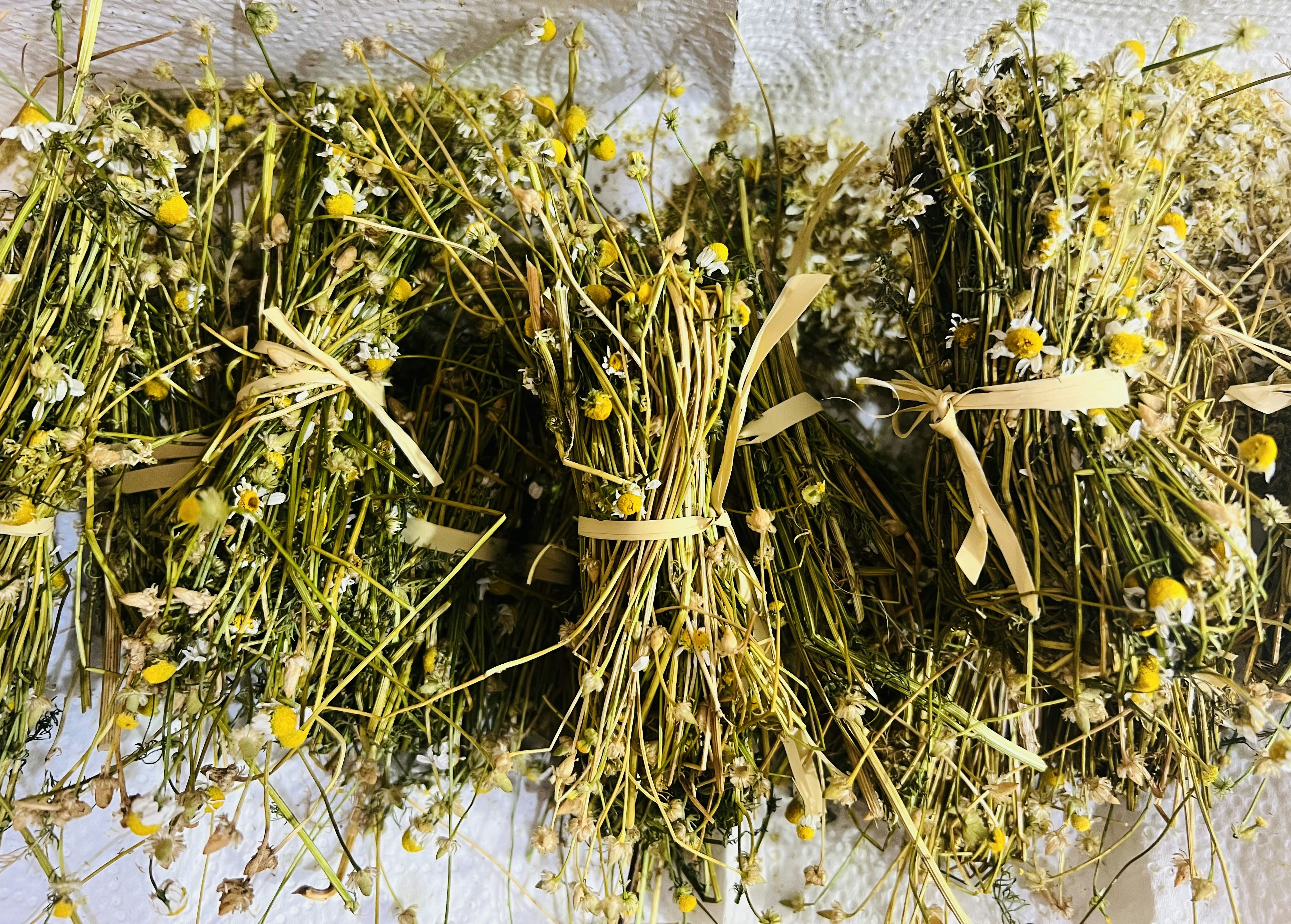 Photo by annamaria17