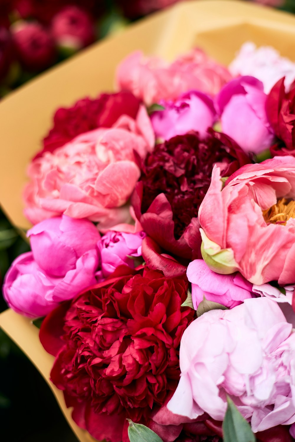 a group of flowers